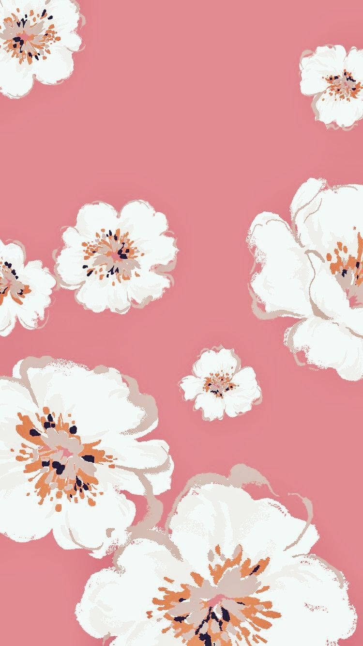 Floral Iphone White Flowers