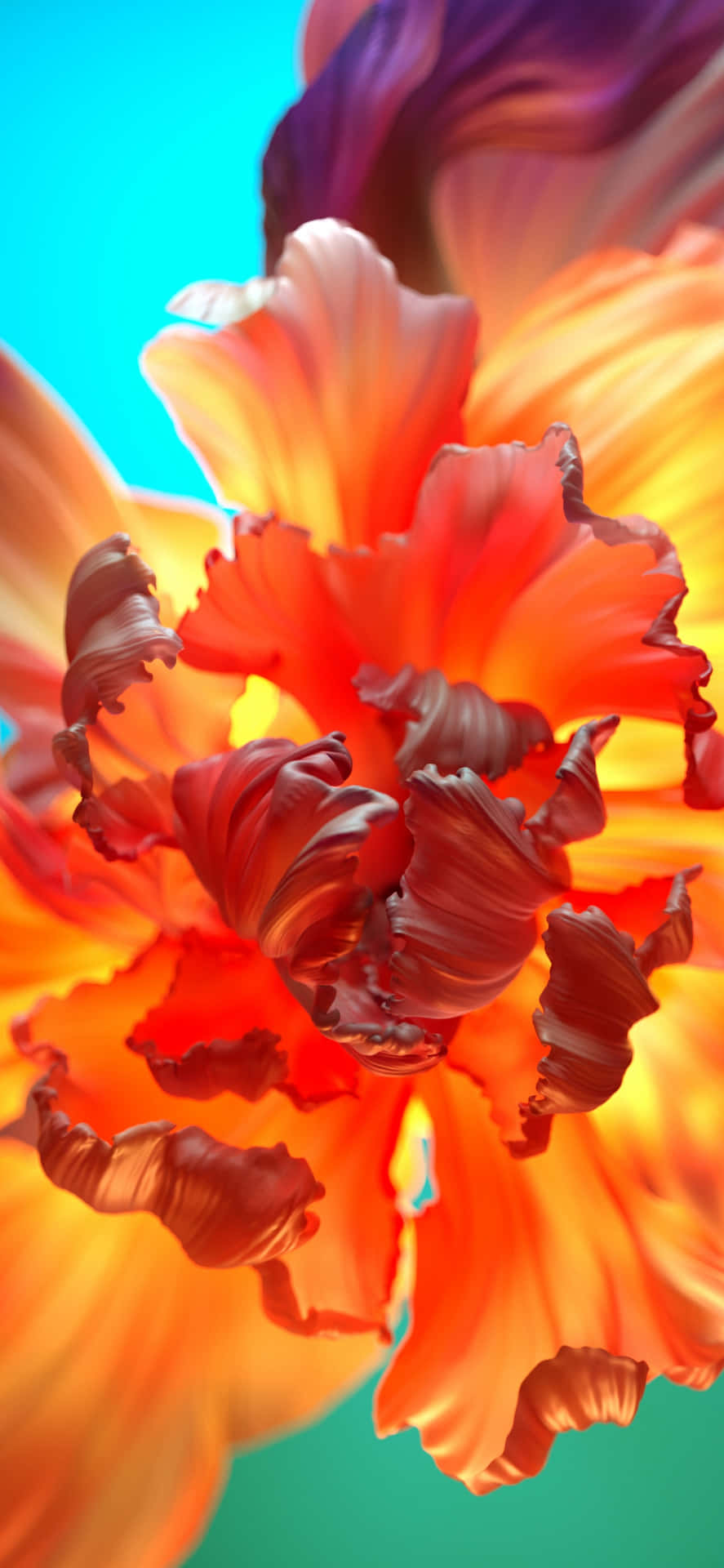 Floral Orange Flower Background