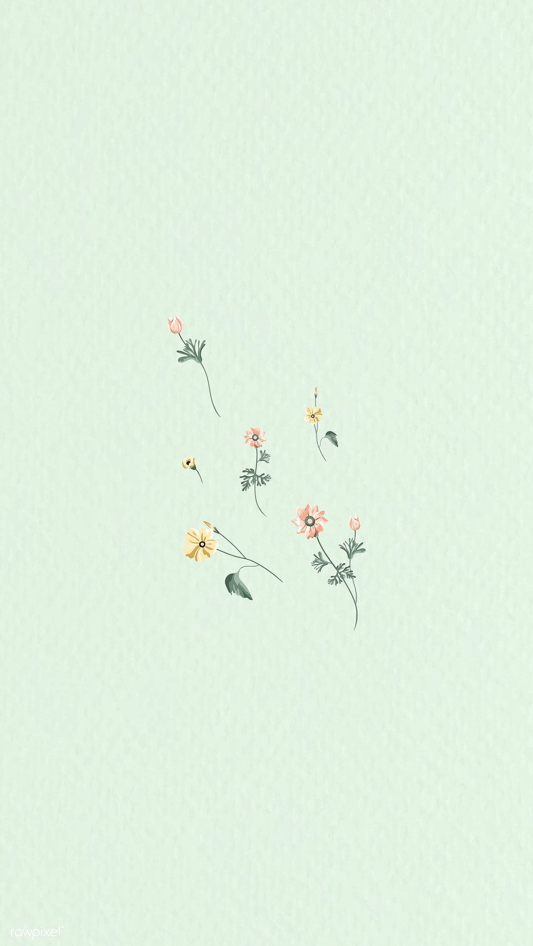 Floral Whatsapp Chat Background