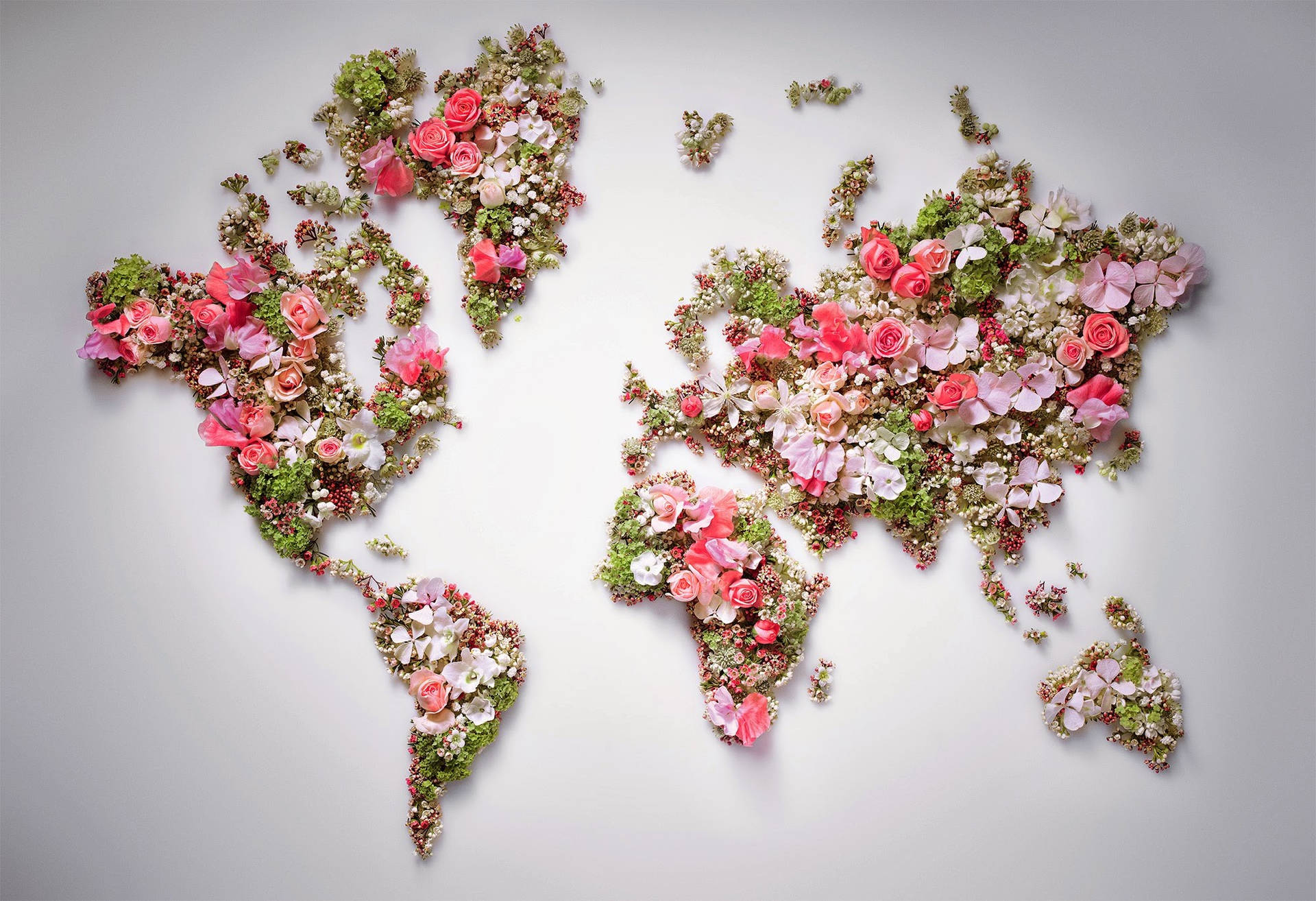 Floral World Map Artwork Background