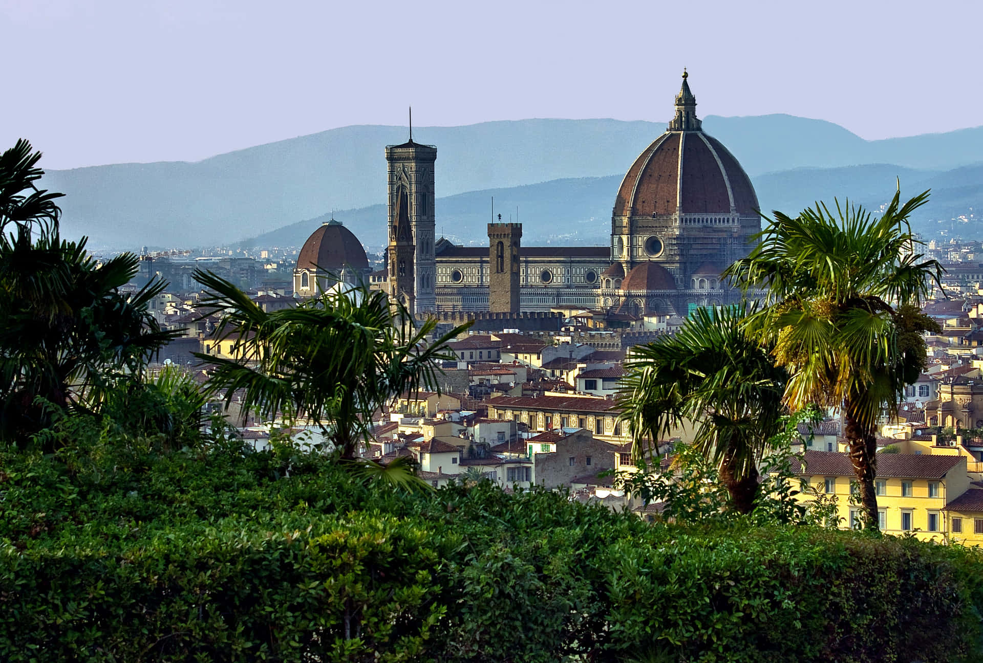 Florence Cathedral Far View Italy Background