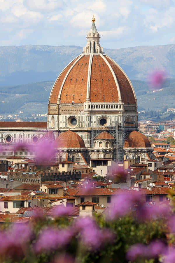 Florence Cathedral View Flowers Italy Background