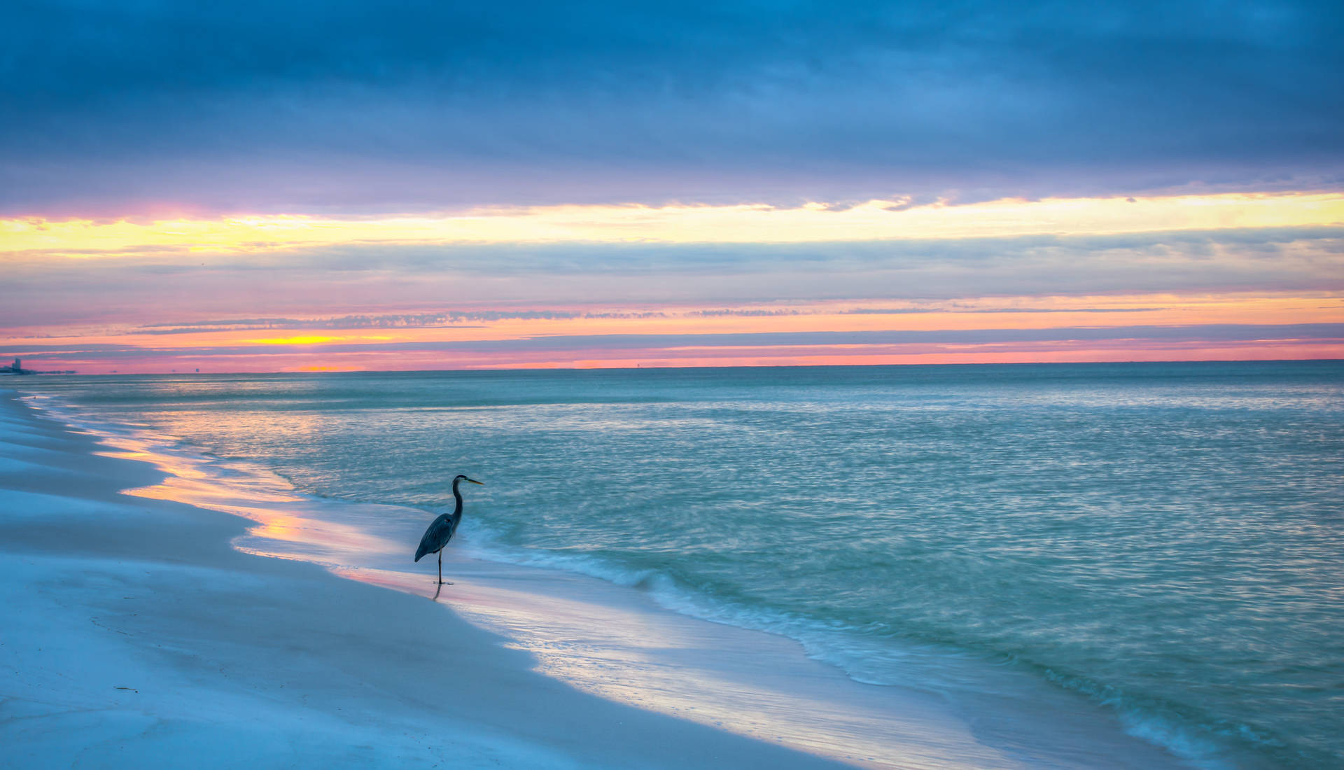 Florida Beach And A Lone Heron Background