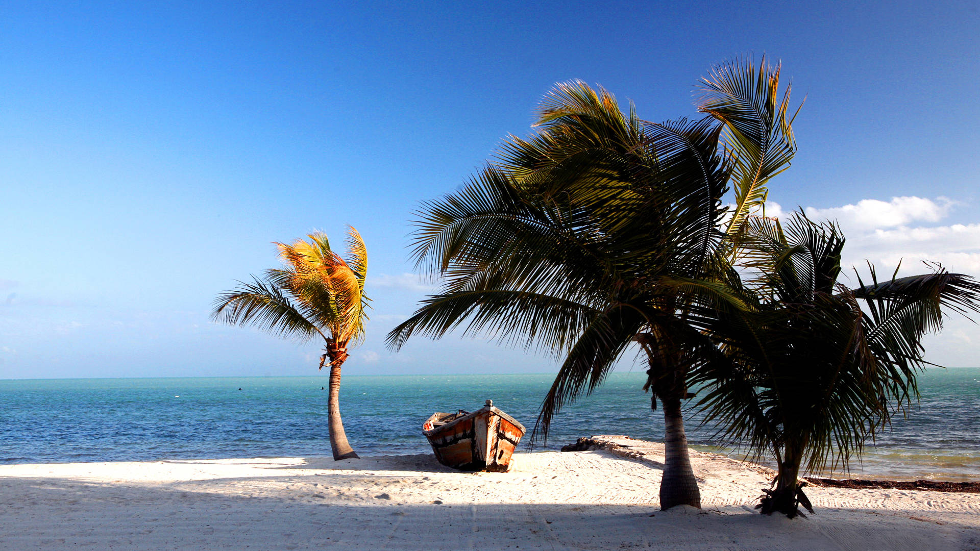 Florida Beach Canoe Background