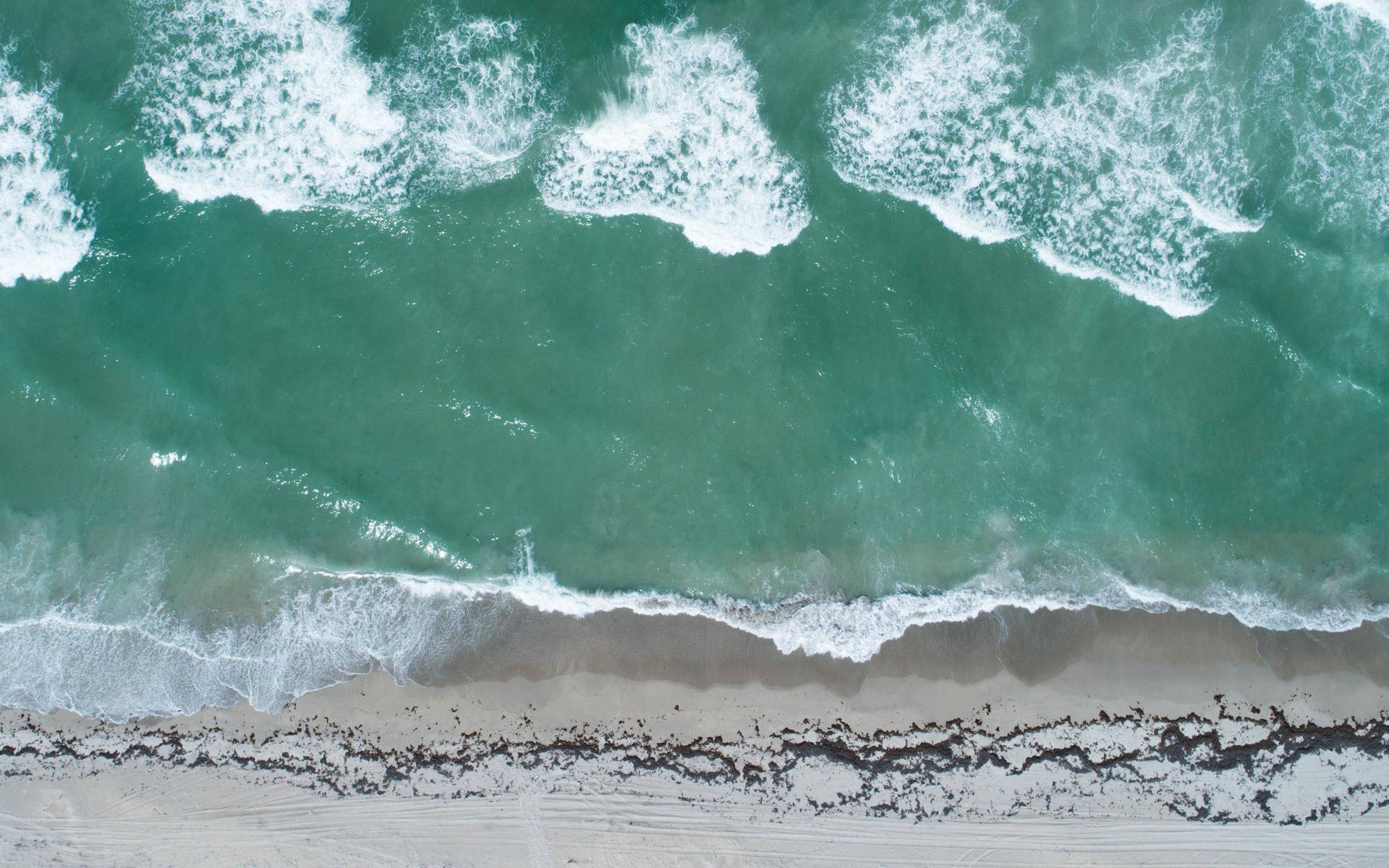 Florida Beach Sea Aerial View