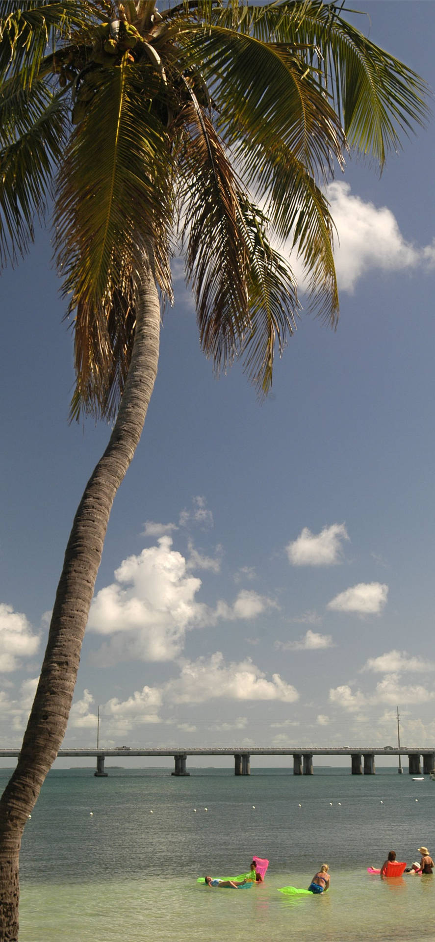 Florida Beach Seaside Background