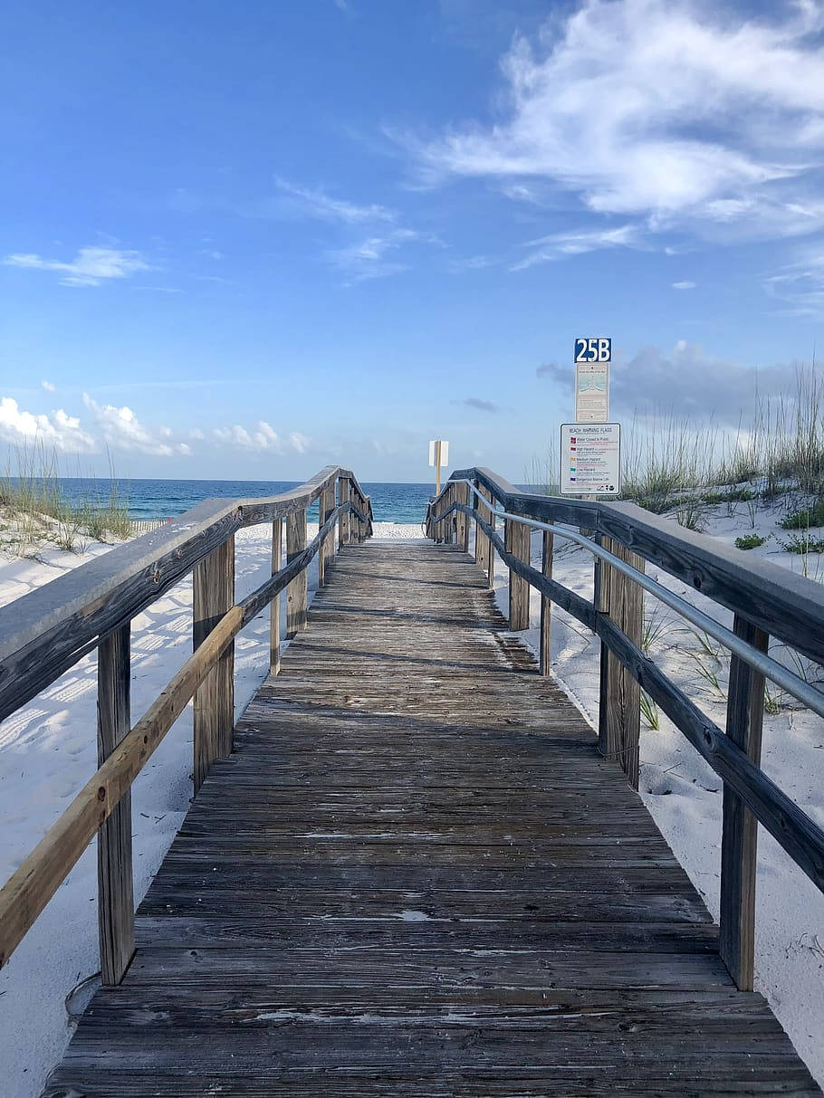 Florida Beach Serenity - Wooden Boardwalk Perspective Background