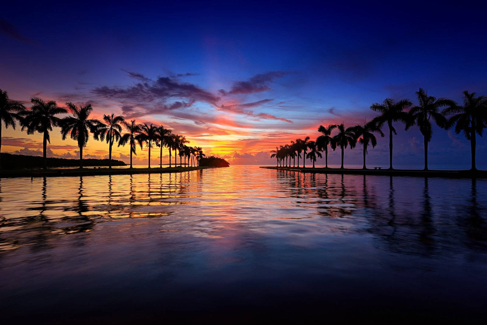 Florida Beach Sunset And Coconut Trees Background