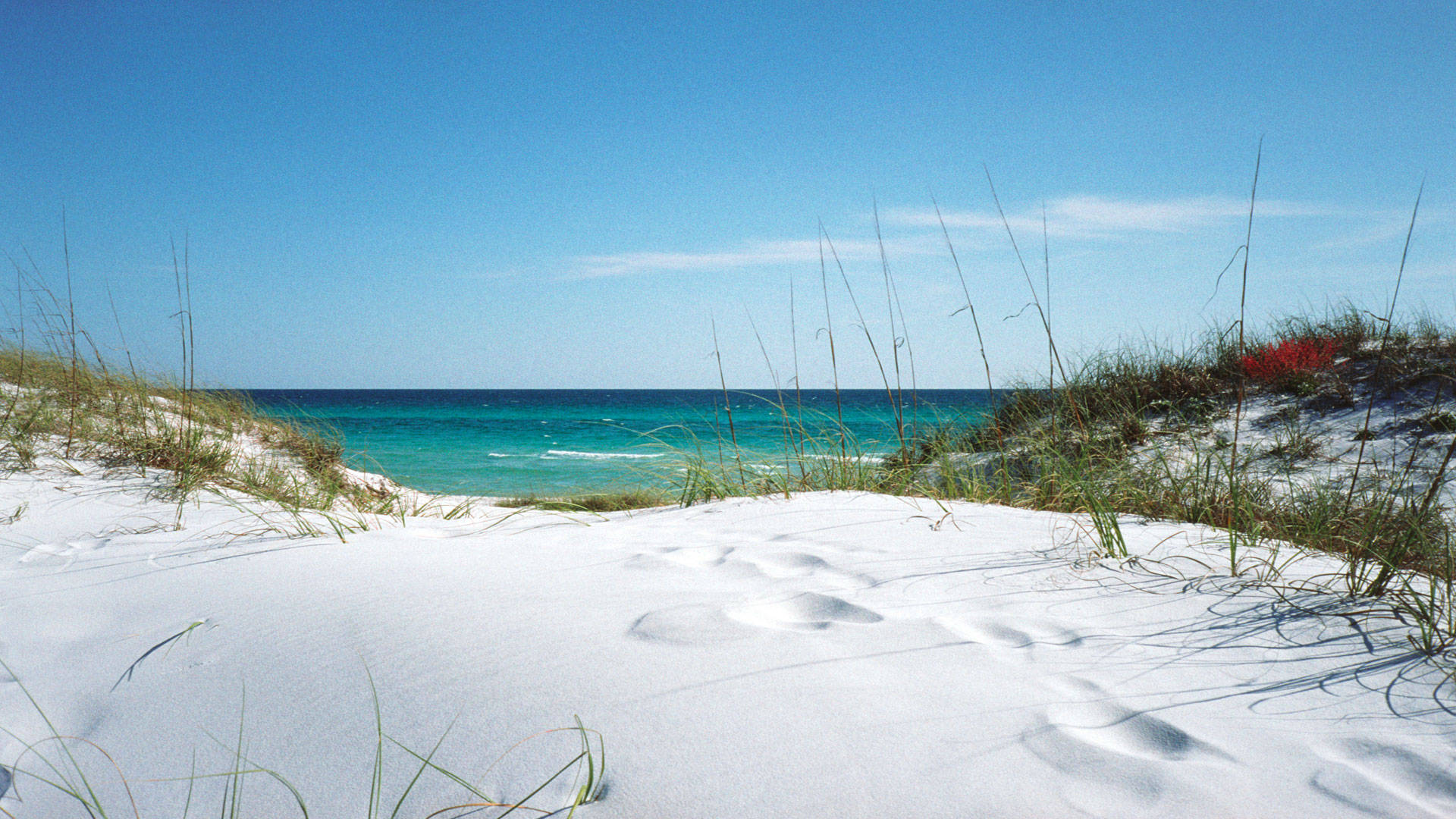 Florida Beach With Fine White Sand Background