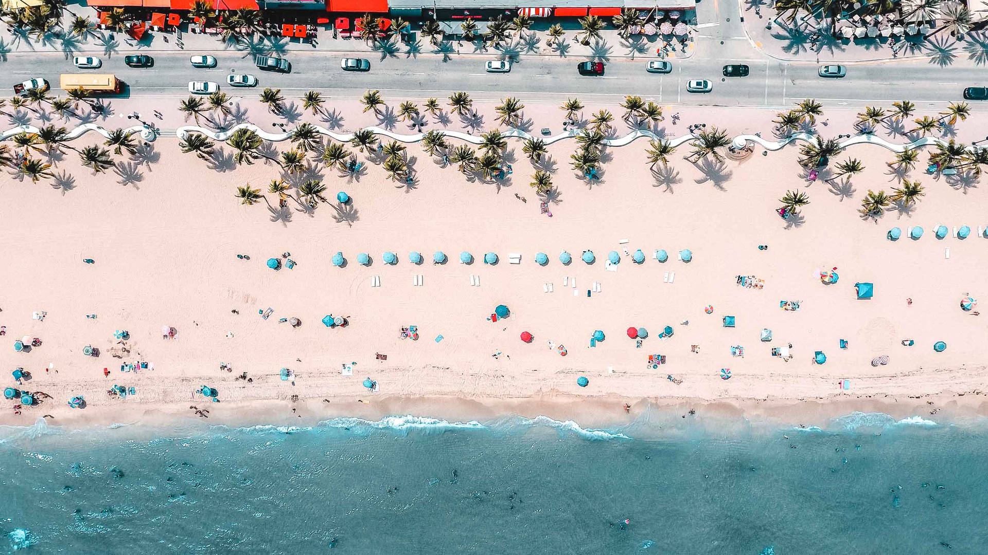 Florida Bird's Eye View