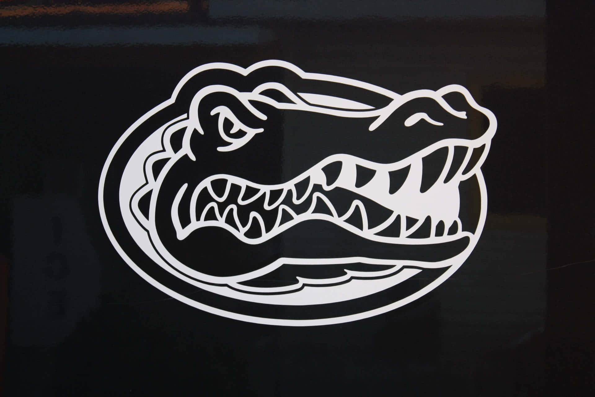 Florida Gators Decal Background