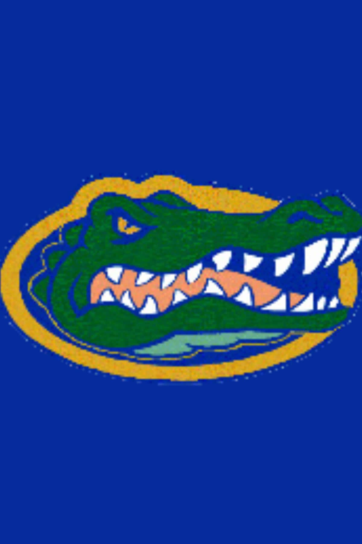 Florida Gators Logo 1200 X 1800 Background