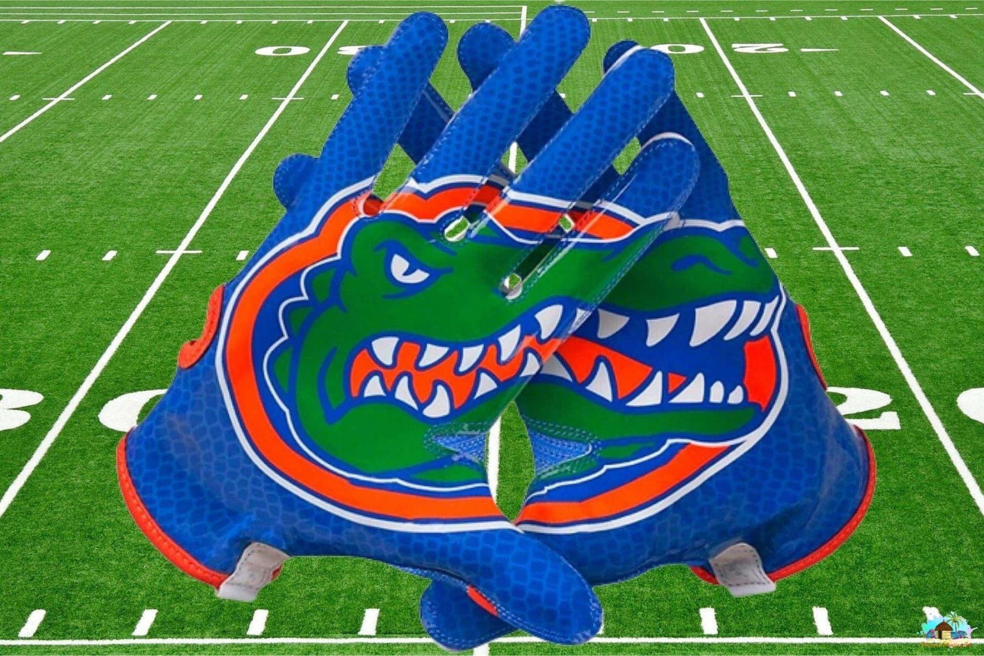Florida Gators Logo 2000 X 1333 Background
