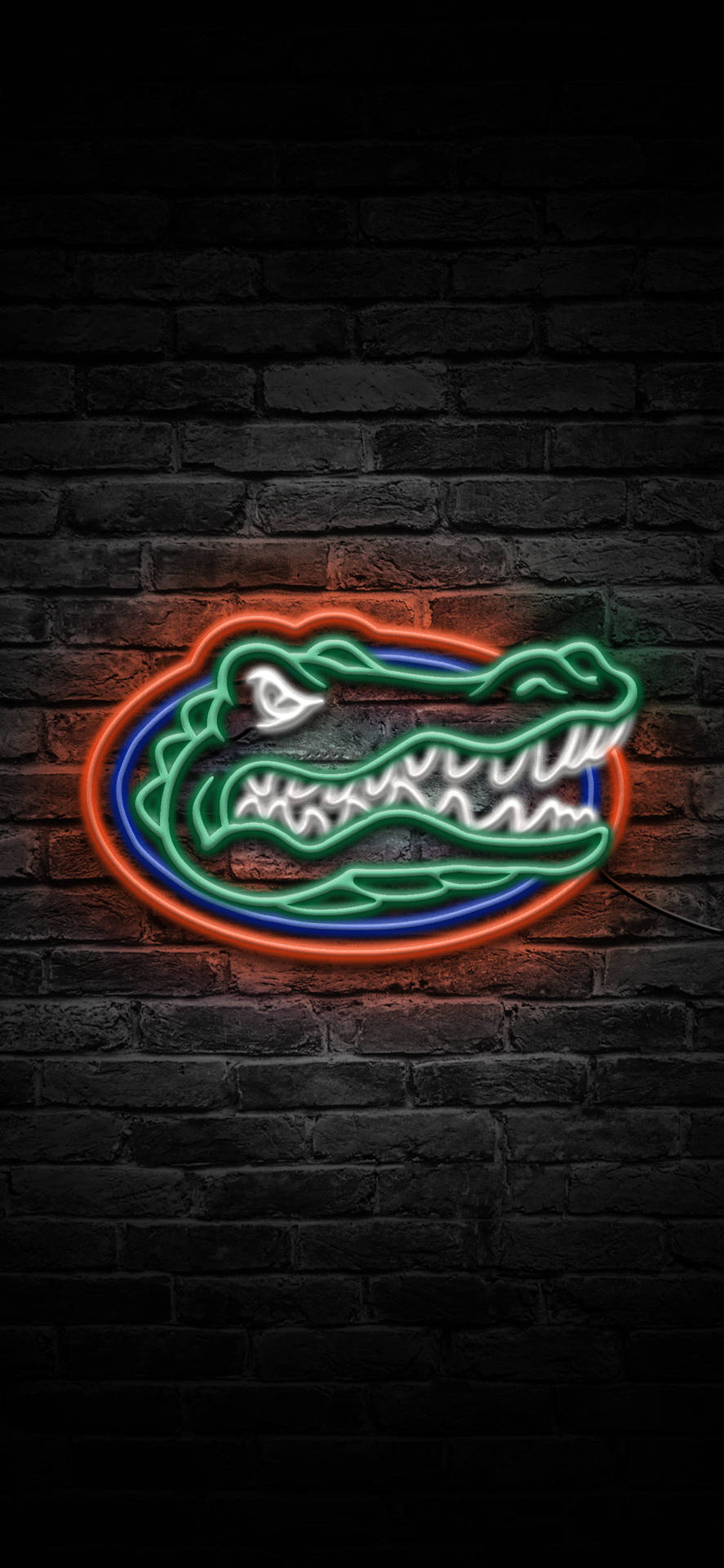 Florida Gators Logo In Neon Lights Background