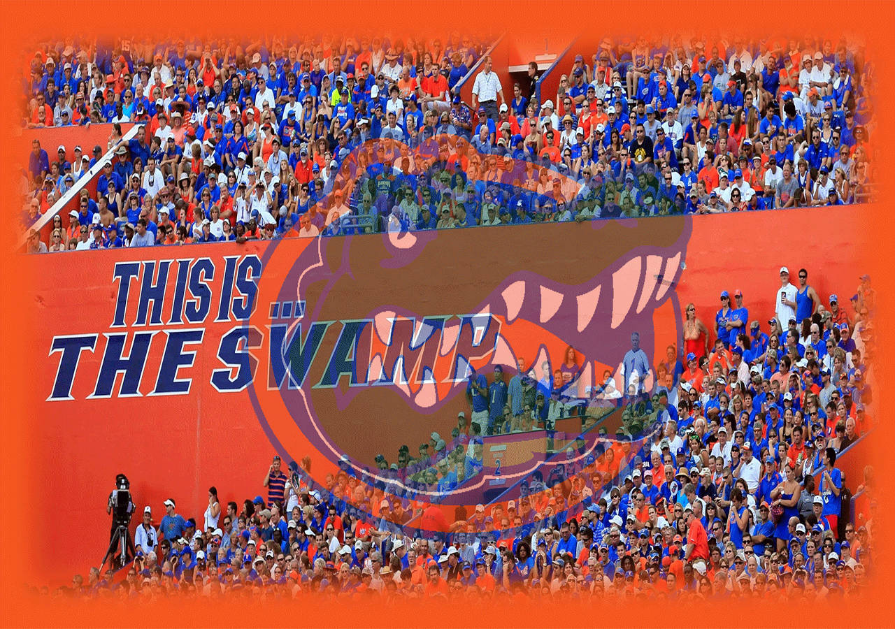 Florida Gators Swamp Background