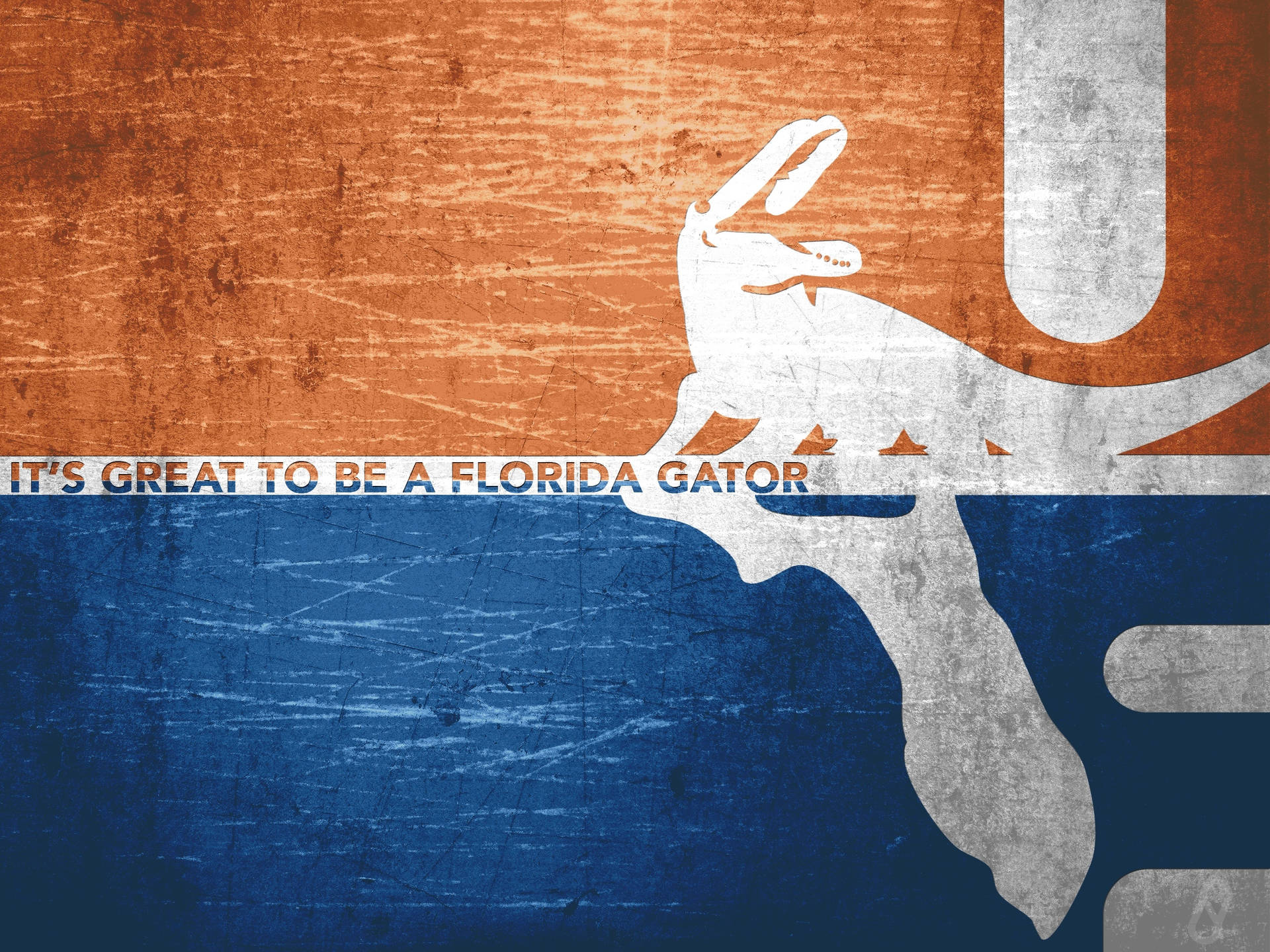 Florida Gators Vintage Flag