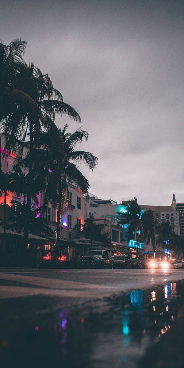 Florida Night Street Background