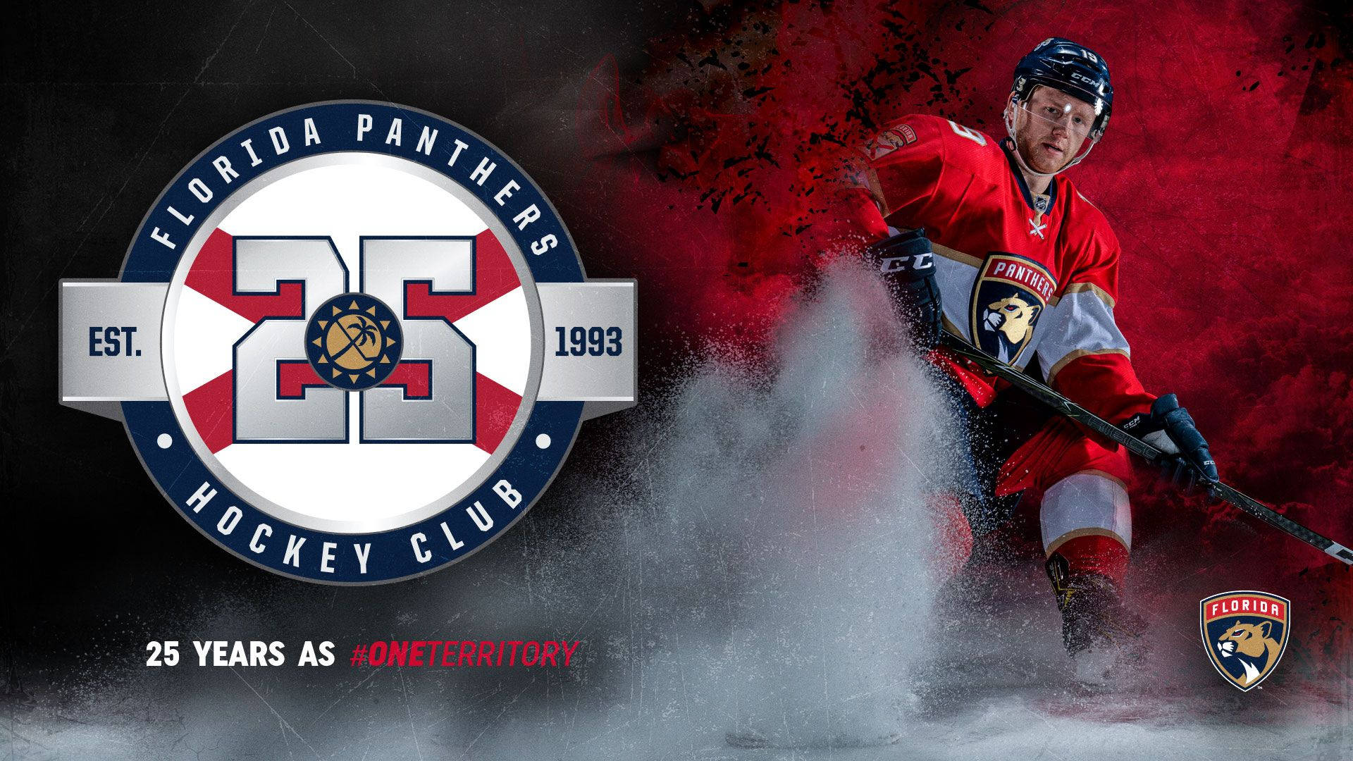 Florida Panthers 25 Years Background