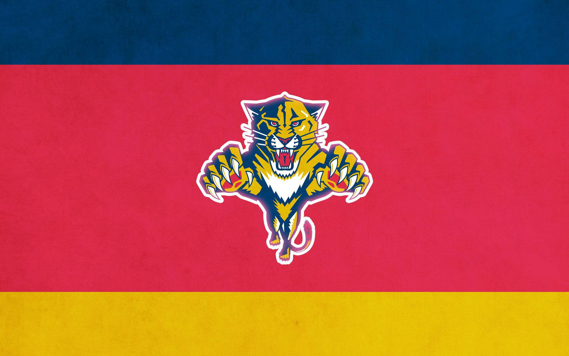 Florida Panthers Banner Background