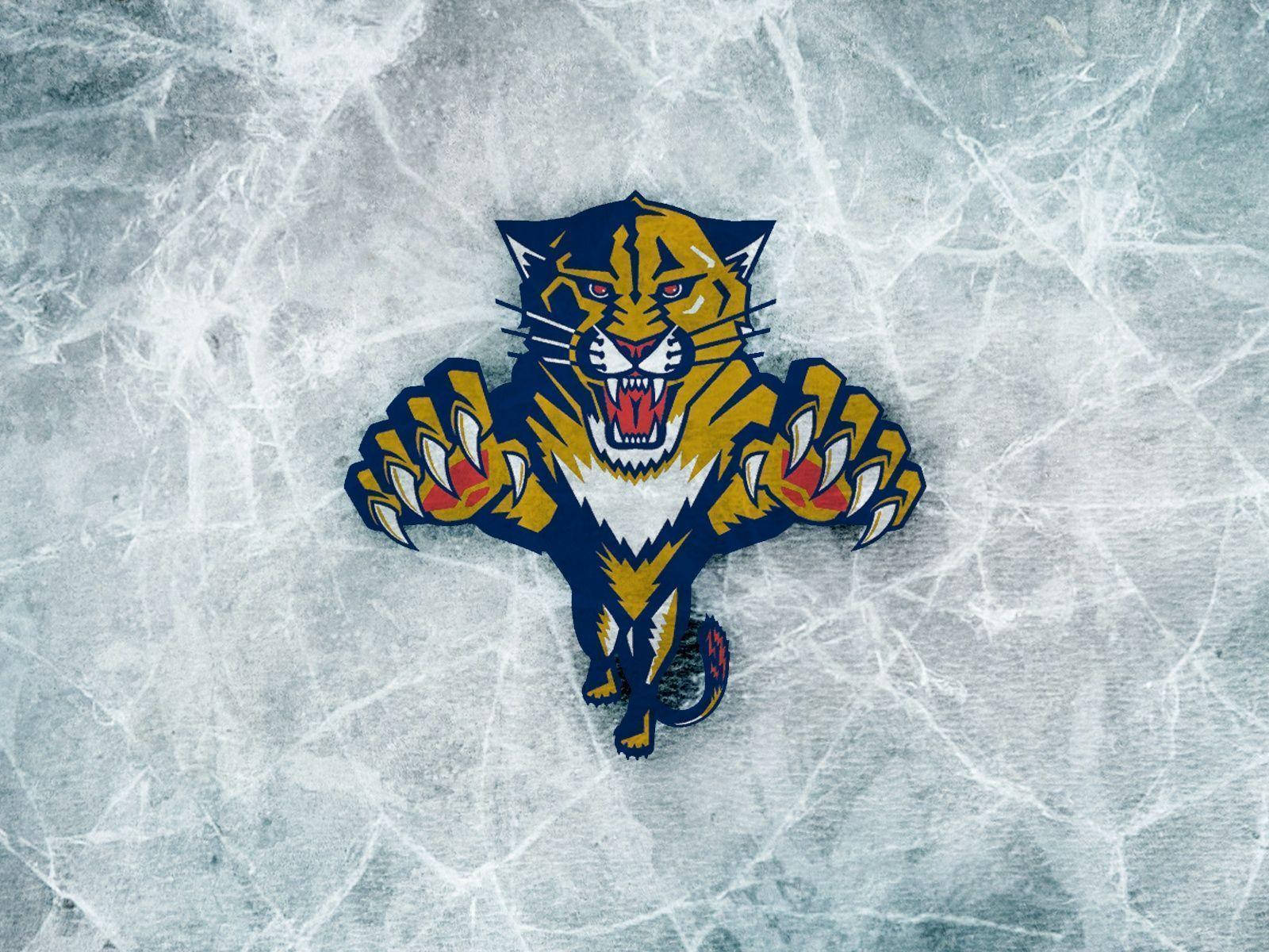 Florida Panthers Crumpled Background Background