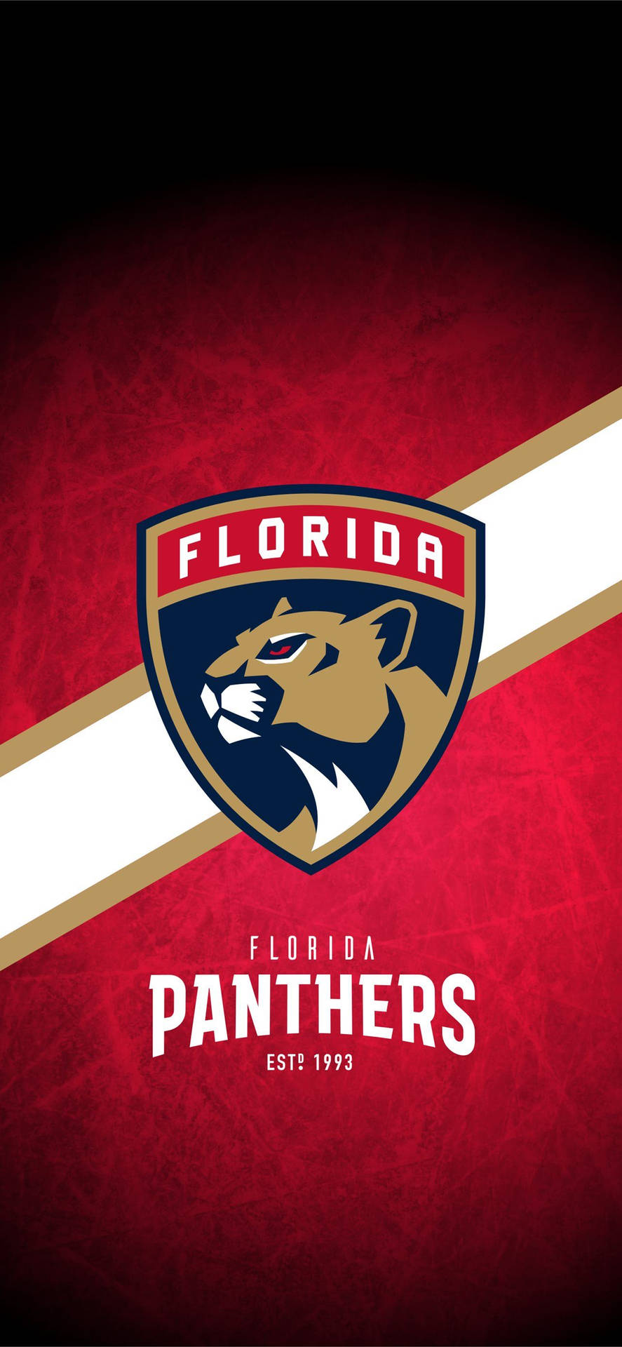 Florida Panthers Hockey Team In Action