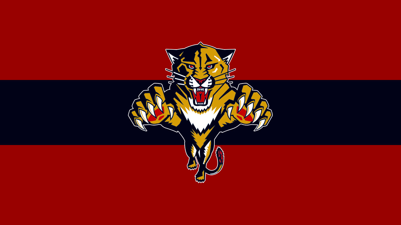 Florida Panthers Hockey Team Background
