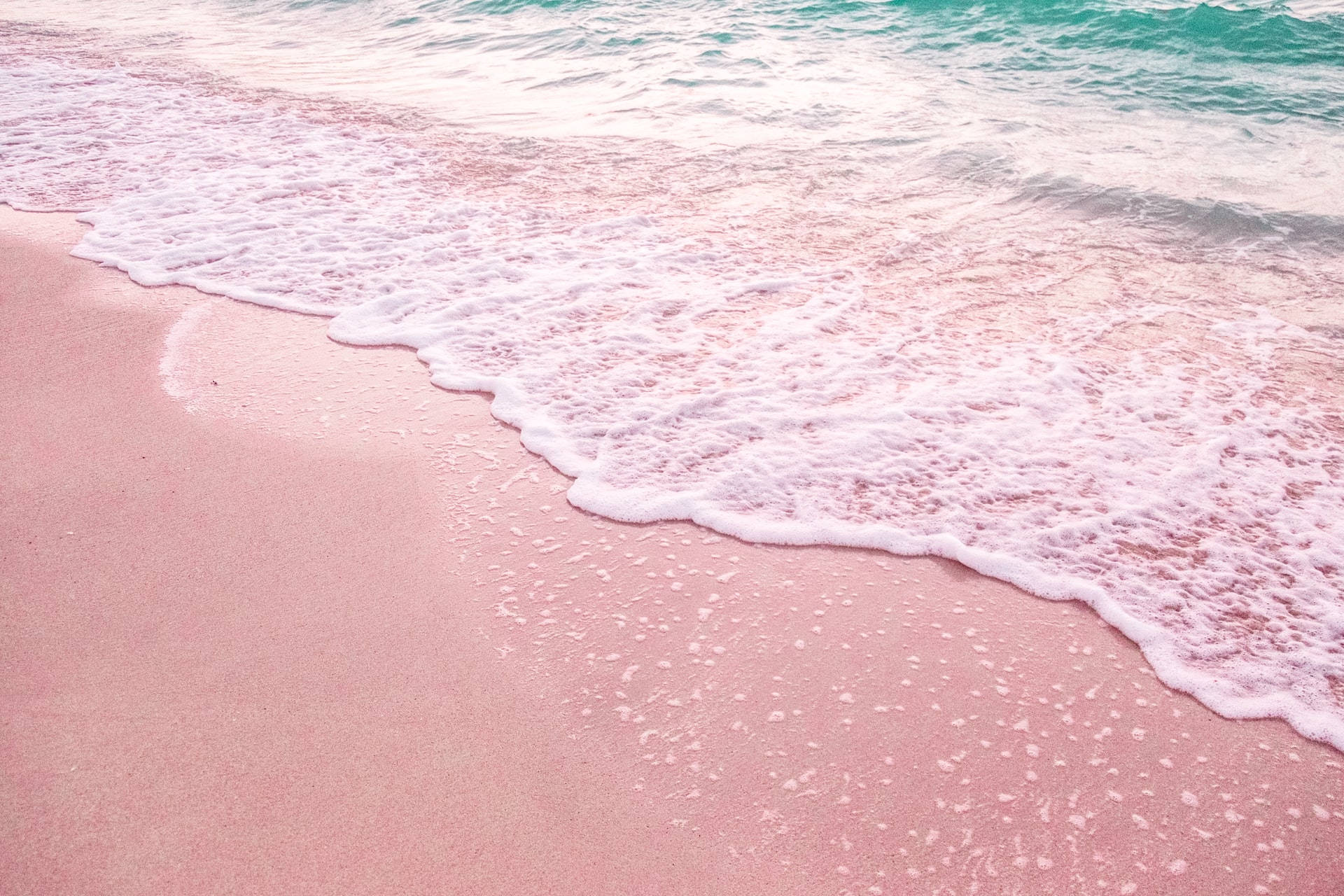 Florida Pink Shore Background