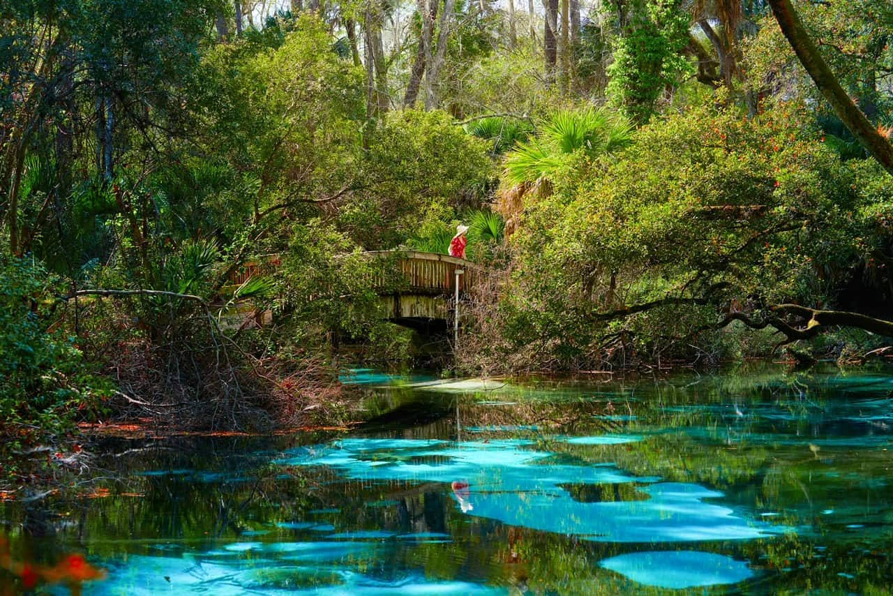 Florida Springs