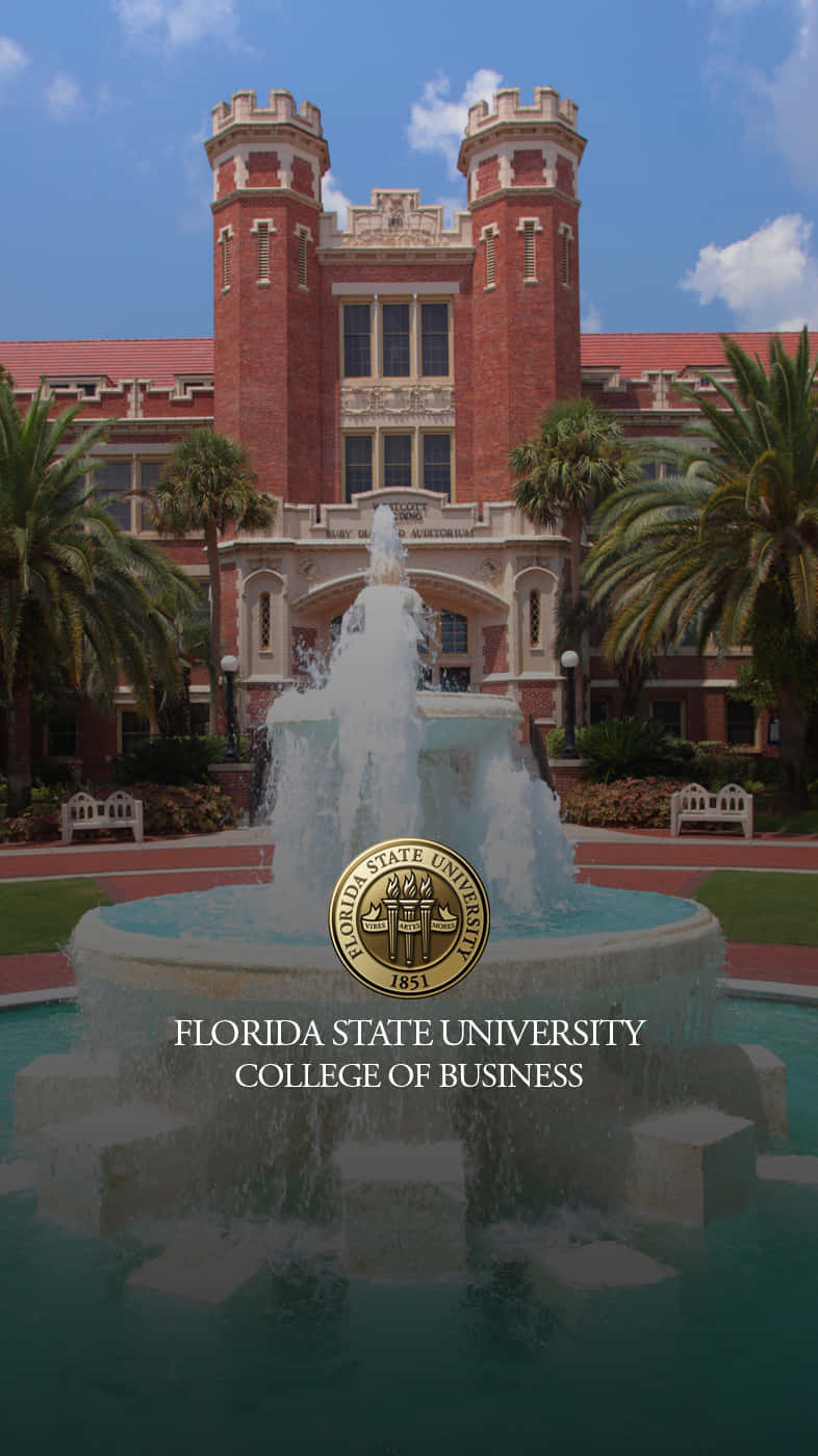 Florida State University - Fsuc Background