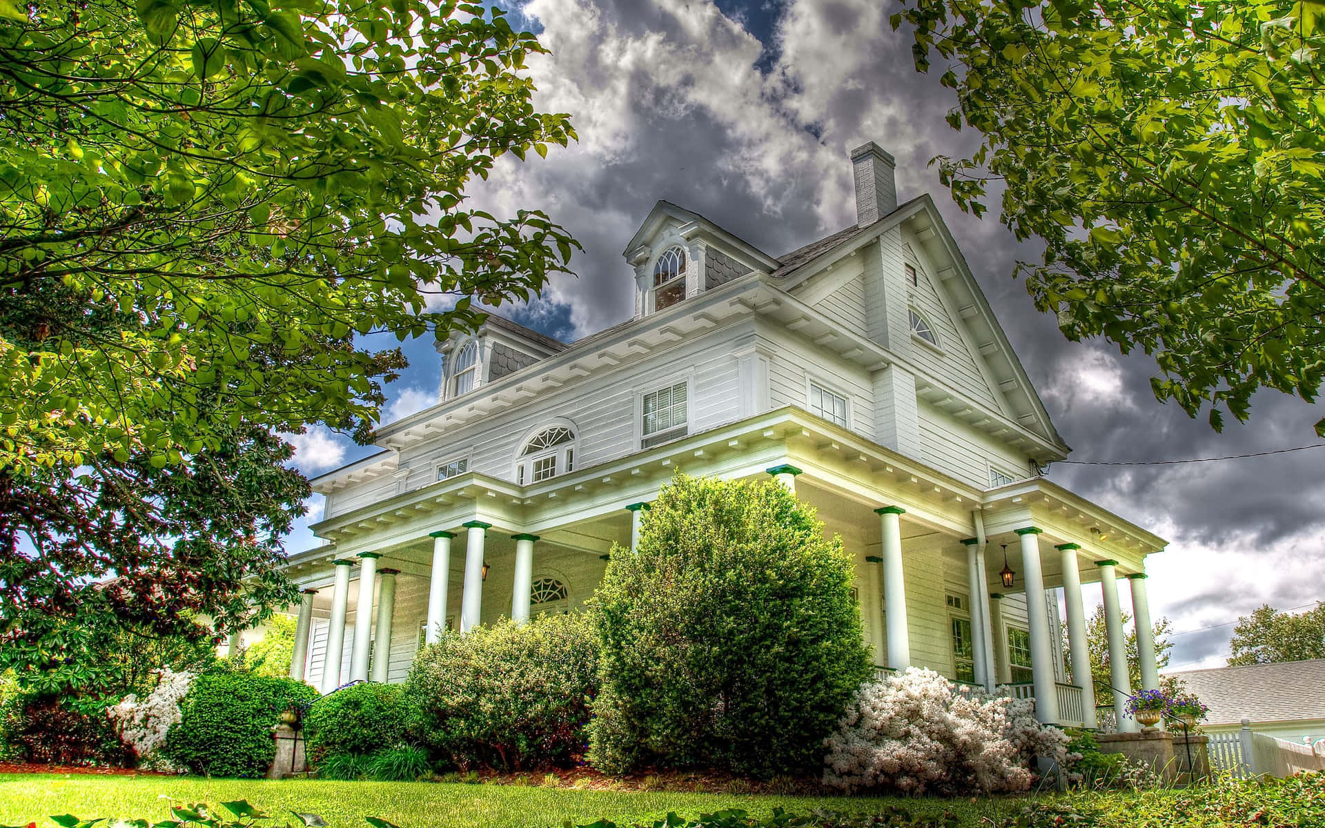 Flourishing Green Shrubs Complimenting A Southern Dental Office Garden Background