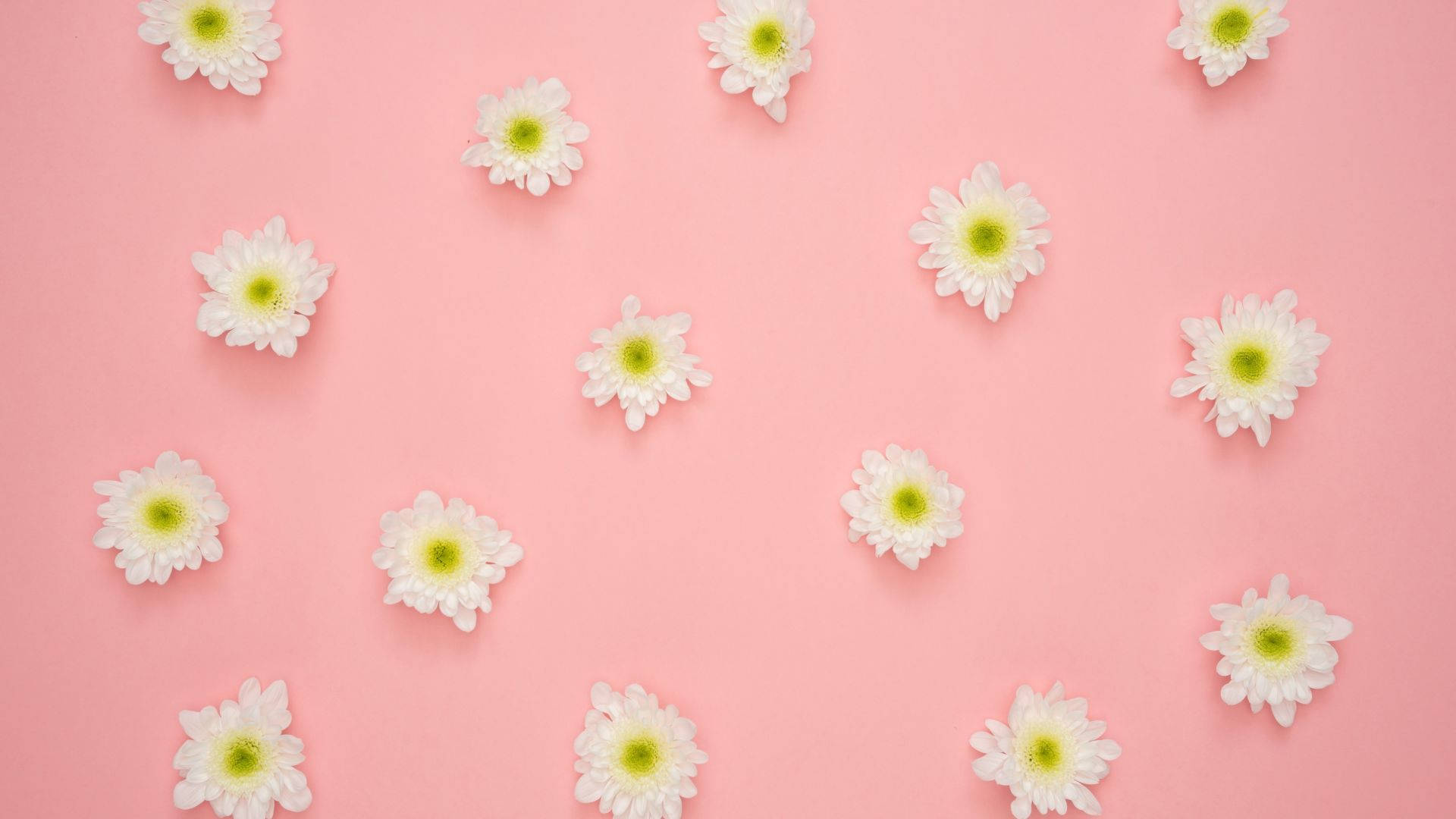 Flourishing Minimalism: Modern Computer Laptop Surrounded By An Abundance Of Colorful Flowers