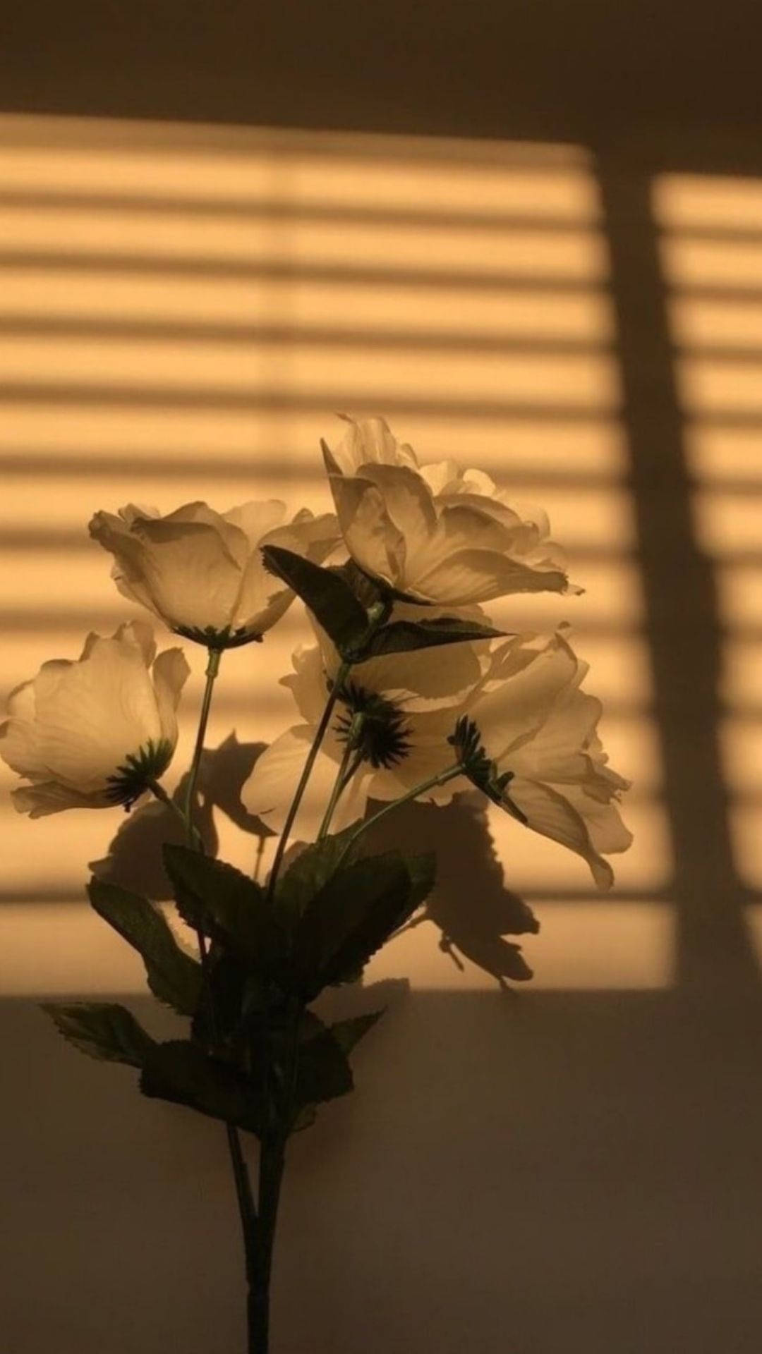 Flower Aesthetic In Sunlight