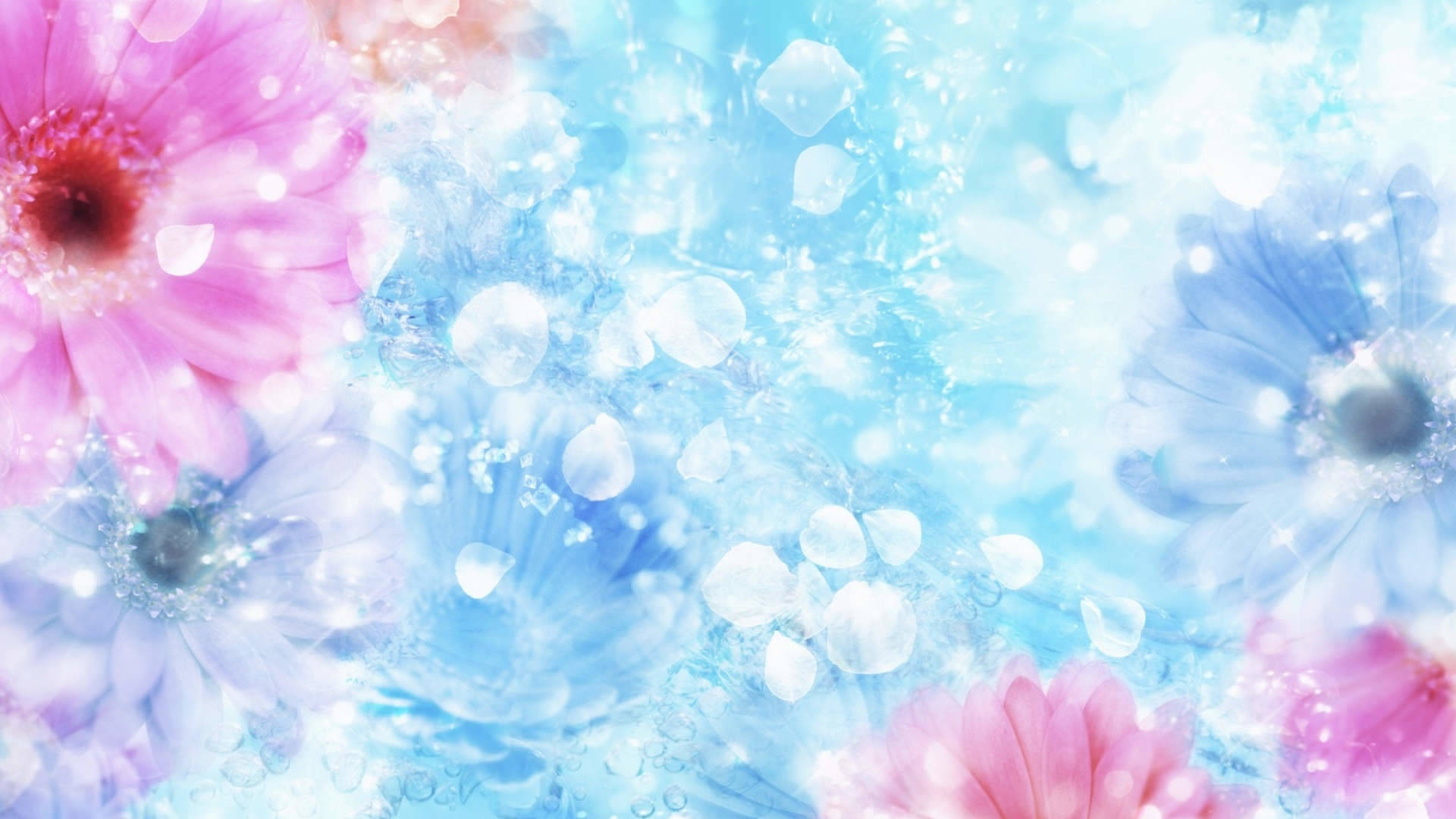 Flower And Water Bright Background Background