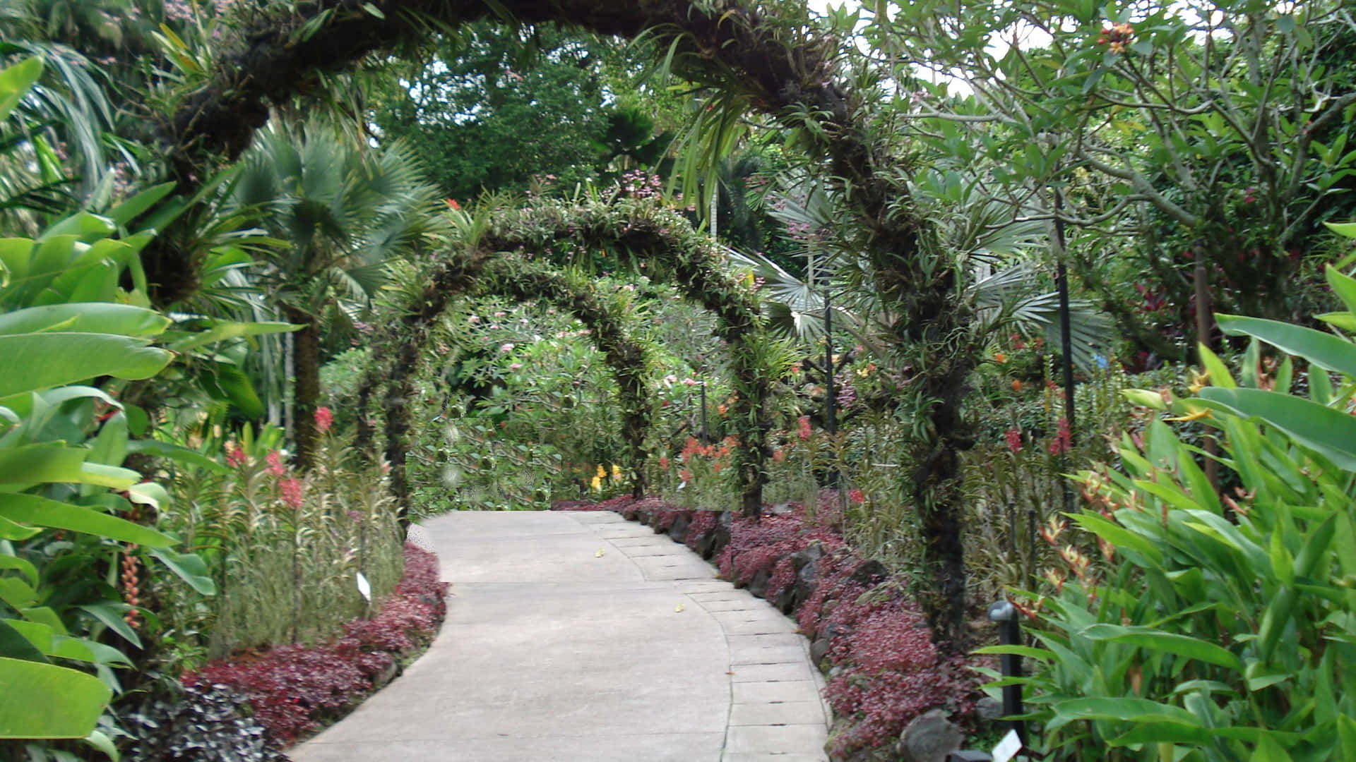 Flower Arches Garden - Microsoft Teams Background Background