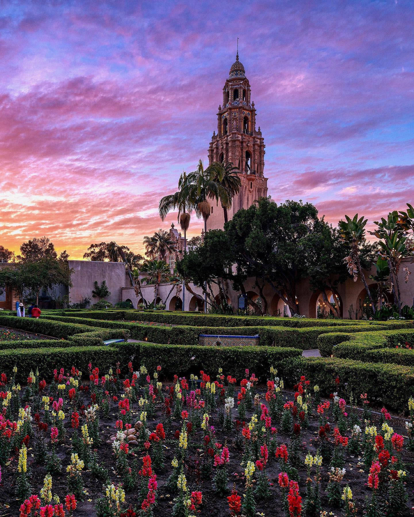 Flower Bed At Balboa Park