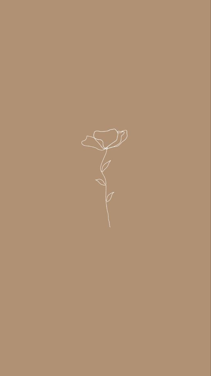 Flower Beige Aesthetic Phone Background