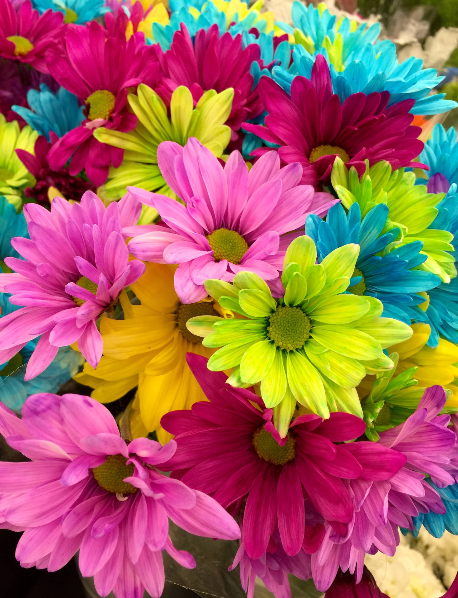 Flower Bouquet For Colorful Background Background