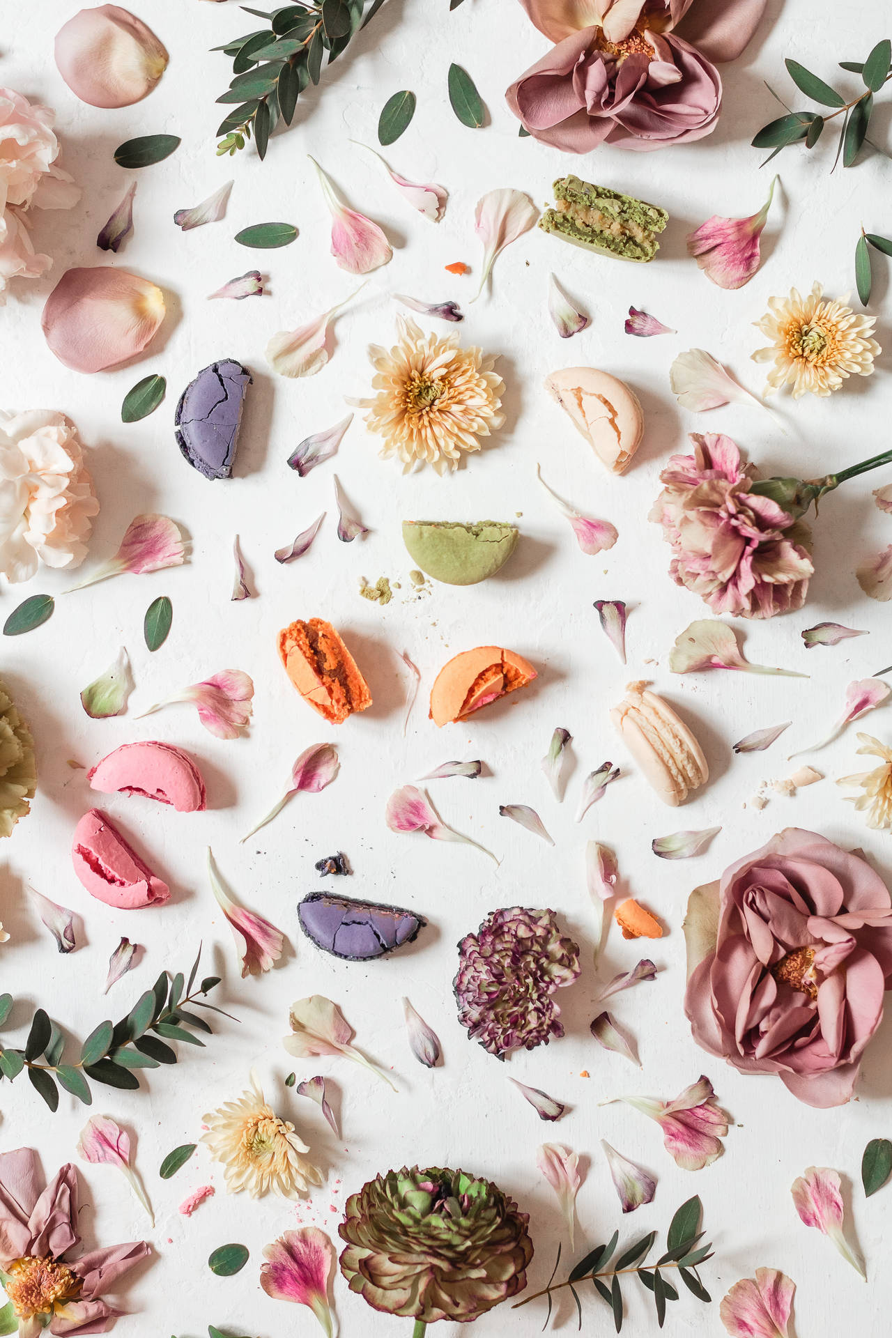 Flower Design Colorful Dried Petals Background