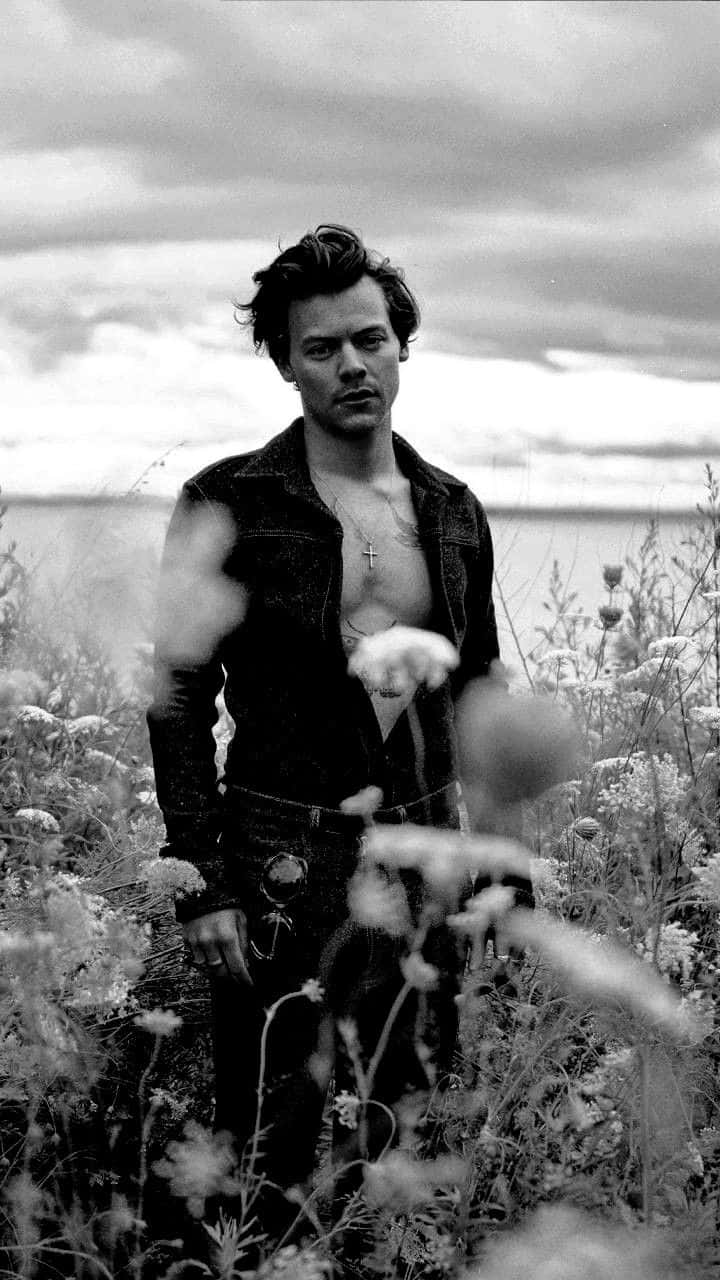 Flower Field With Harry Styles Black And White Background