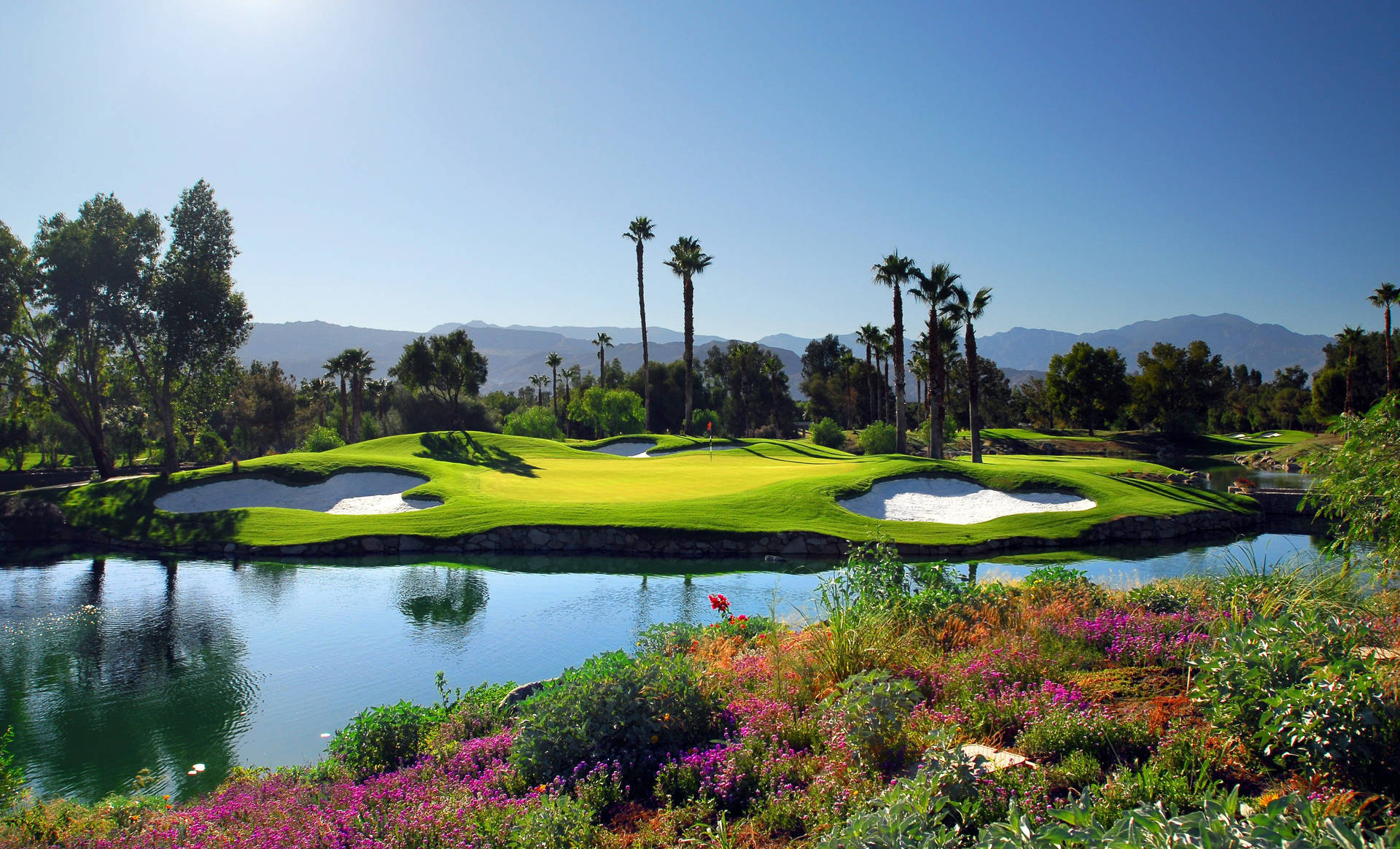 Flower Garden Golf Course Background