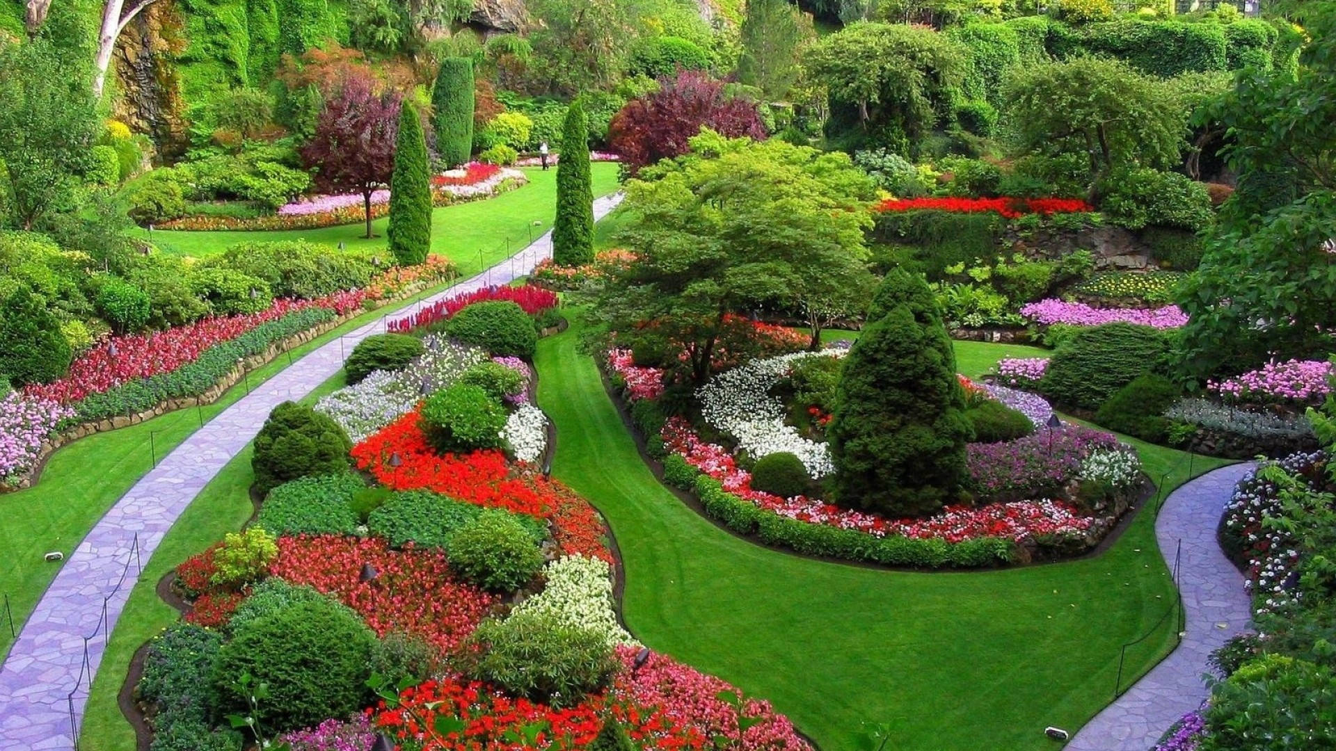 Flower Garden Landscaping Background