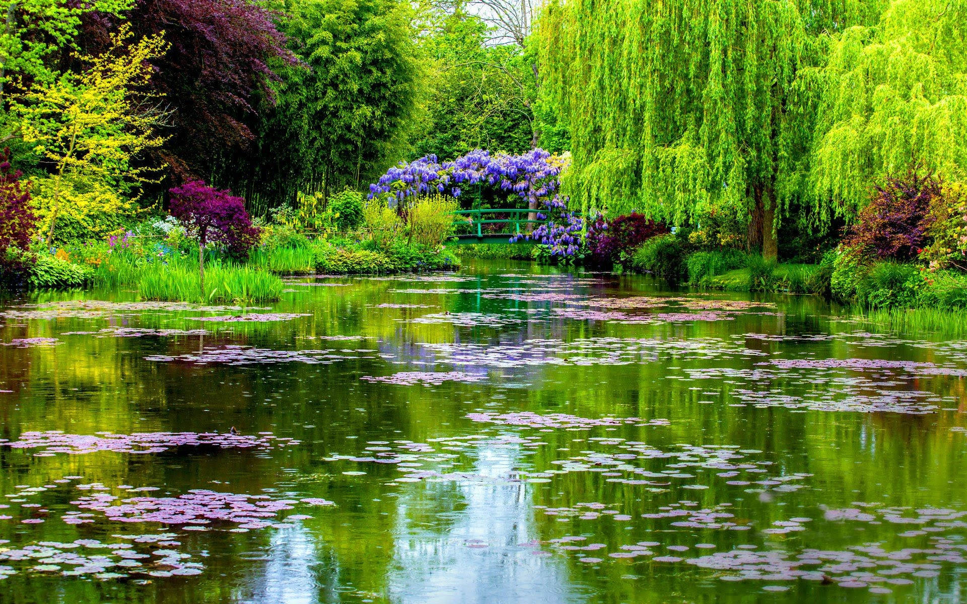 Flower Garden With A Beautiful Pond Background