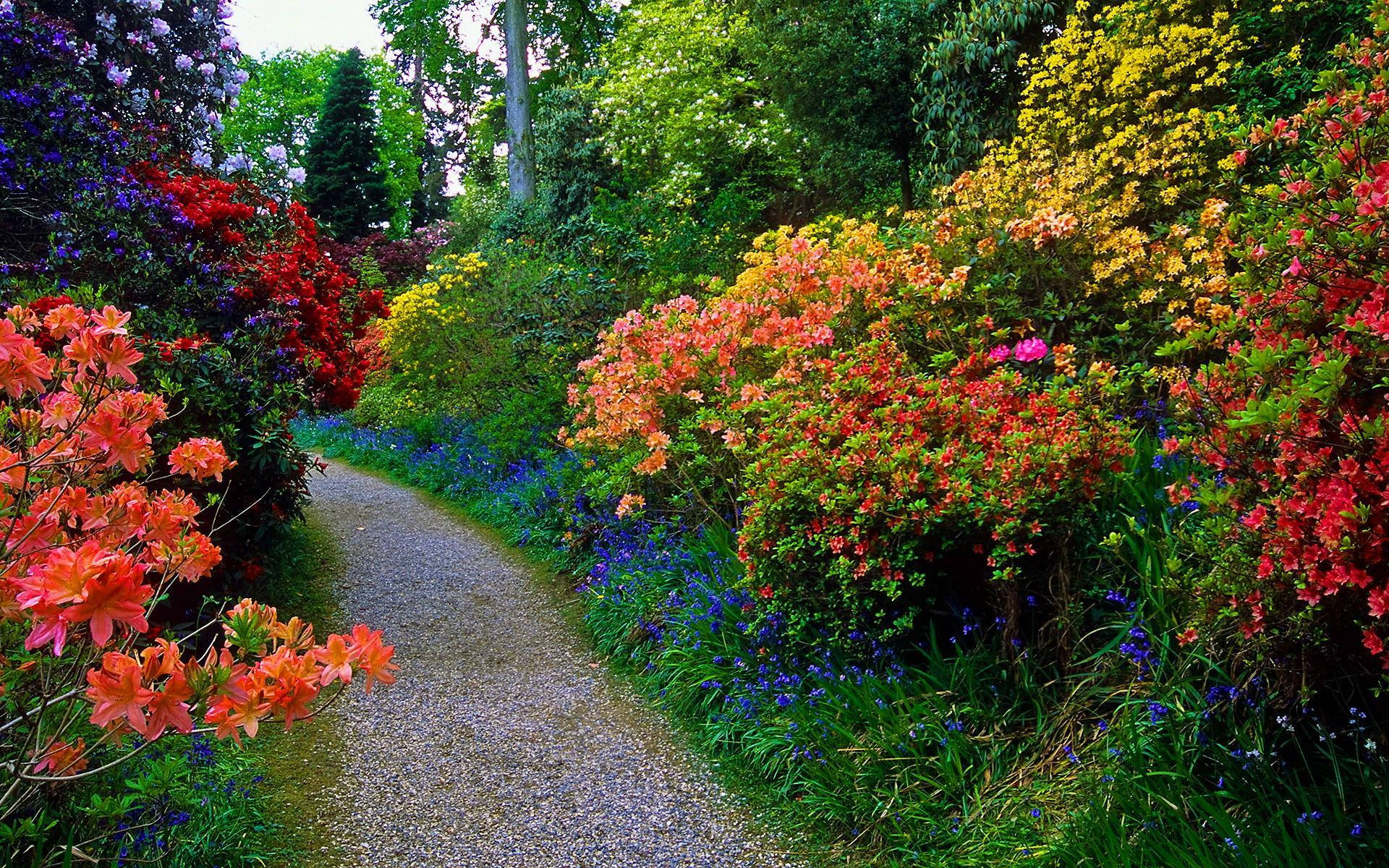 Flower Garden With A Pathway Background