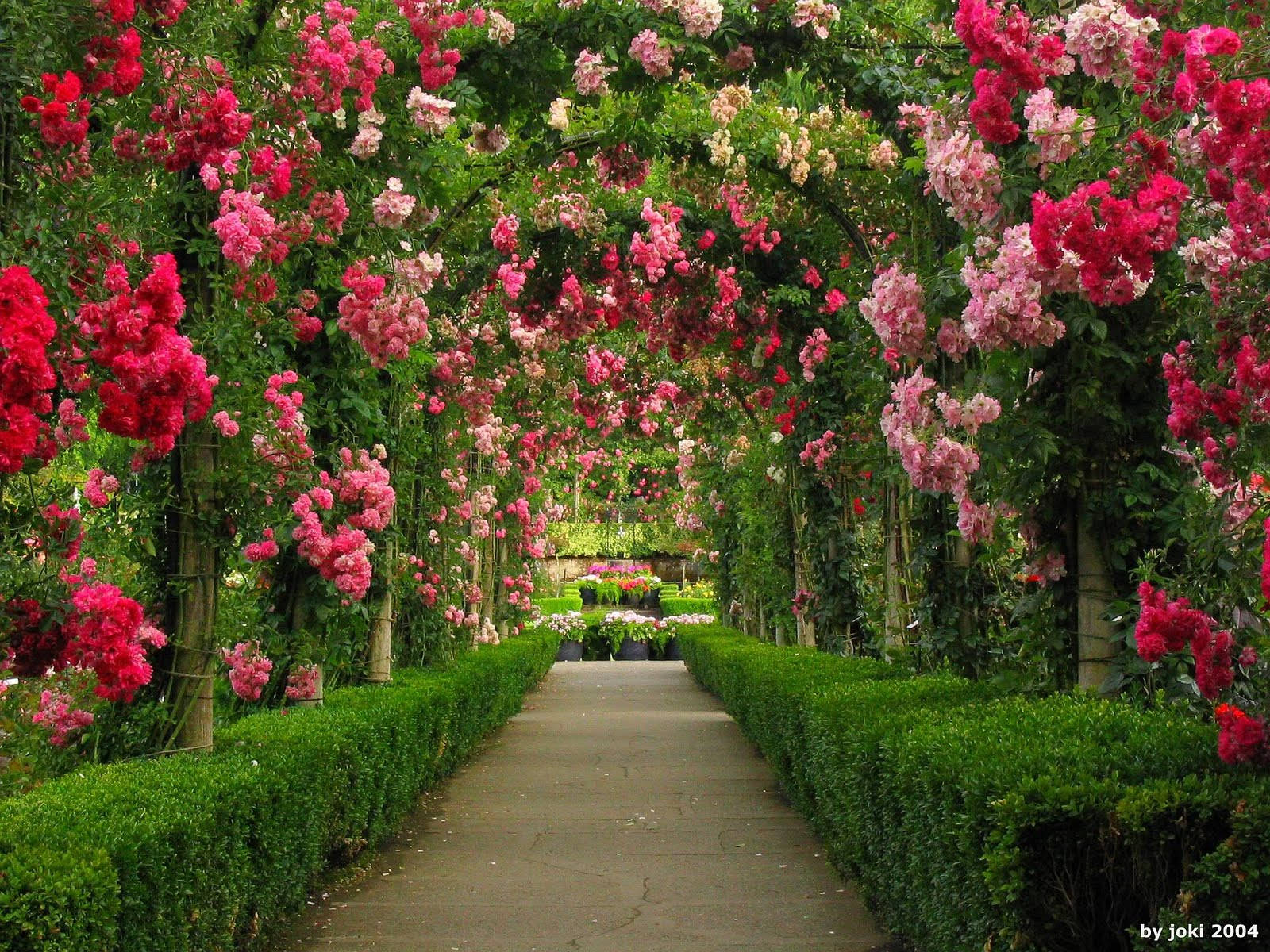 Flower Garden With Arches Background