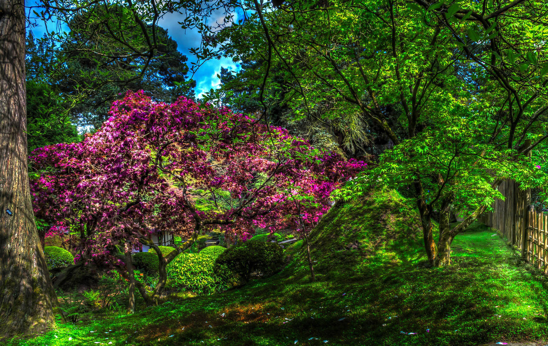 Flower Garden With Pink Flower Tree Background