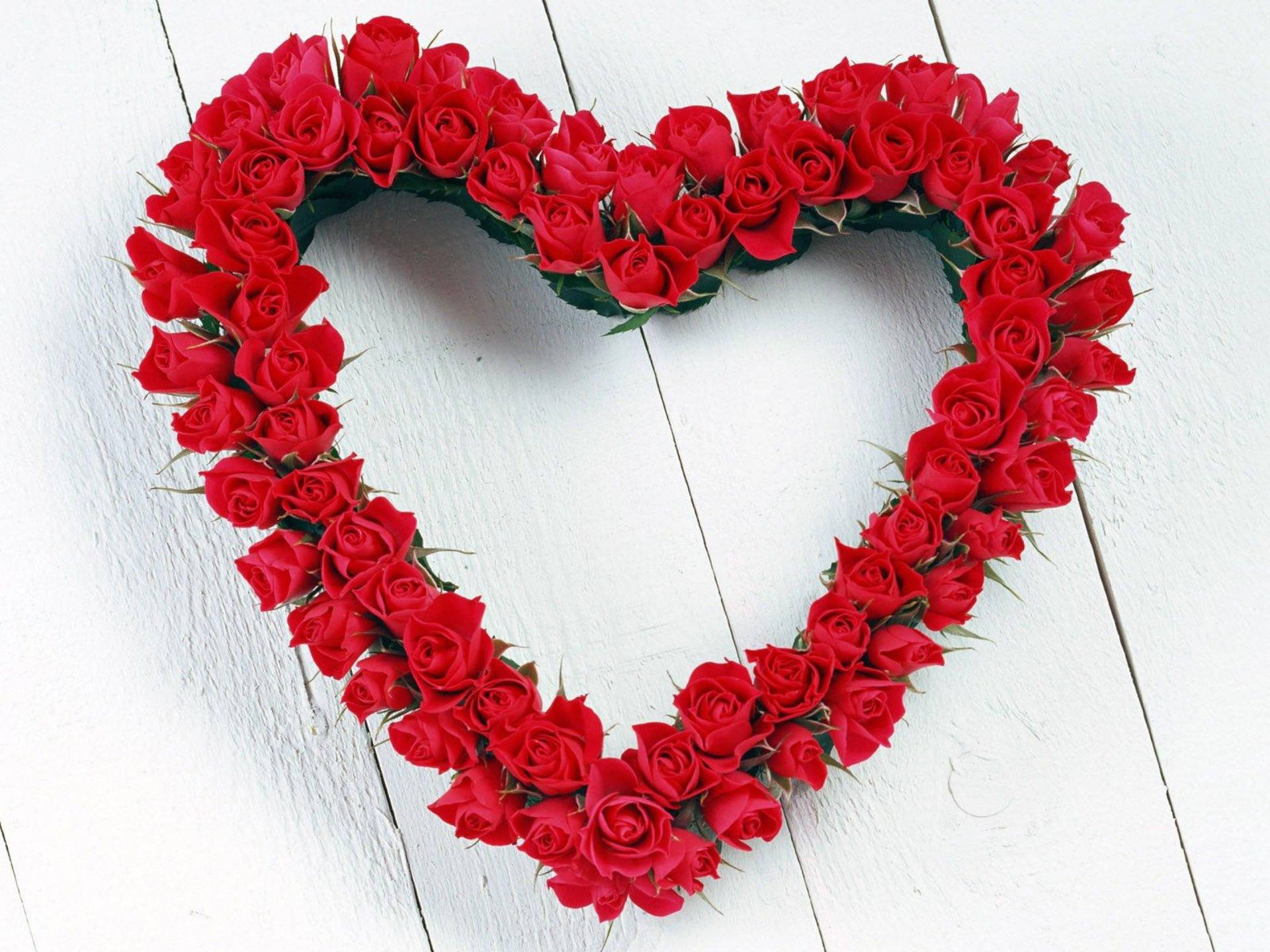 Flower Heart Of Red Roses Background