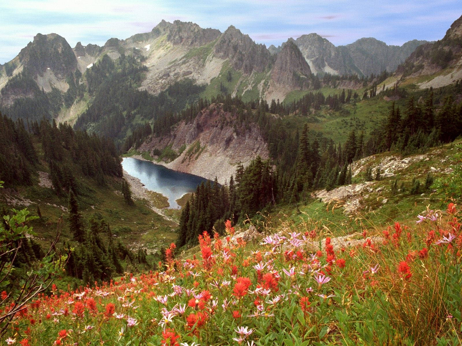 Flower Hills In Idaho Background