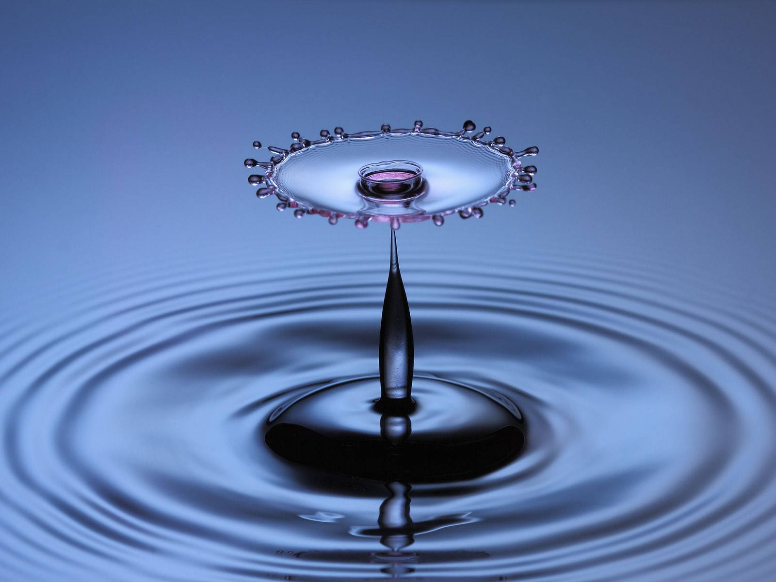 Flower-like Drop Over Rippling Water