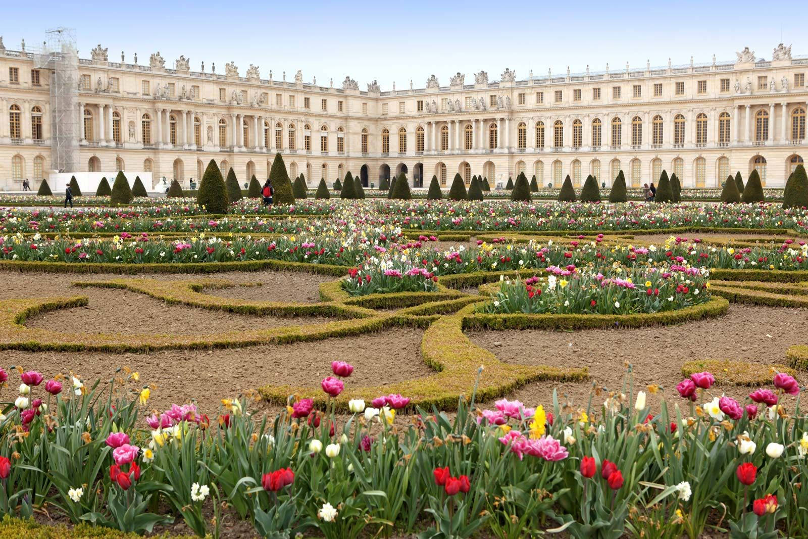 Flower Parterre At The Palace Of Versailles Background