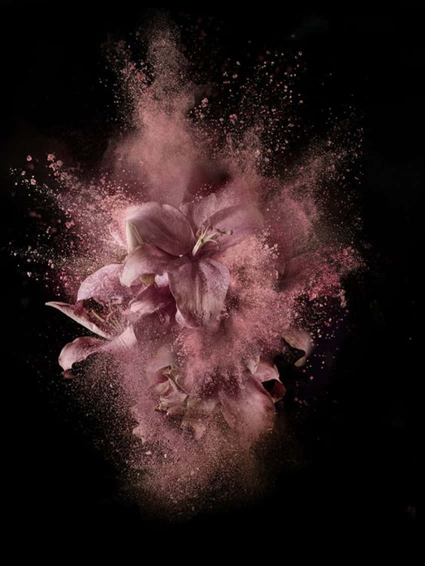 Flower Powder Explosion Rose Gold And Black
